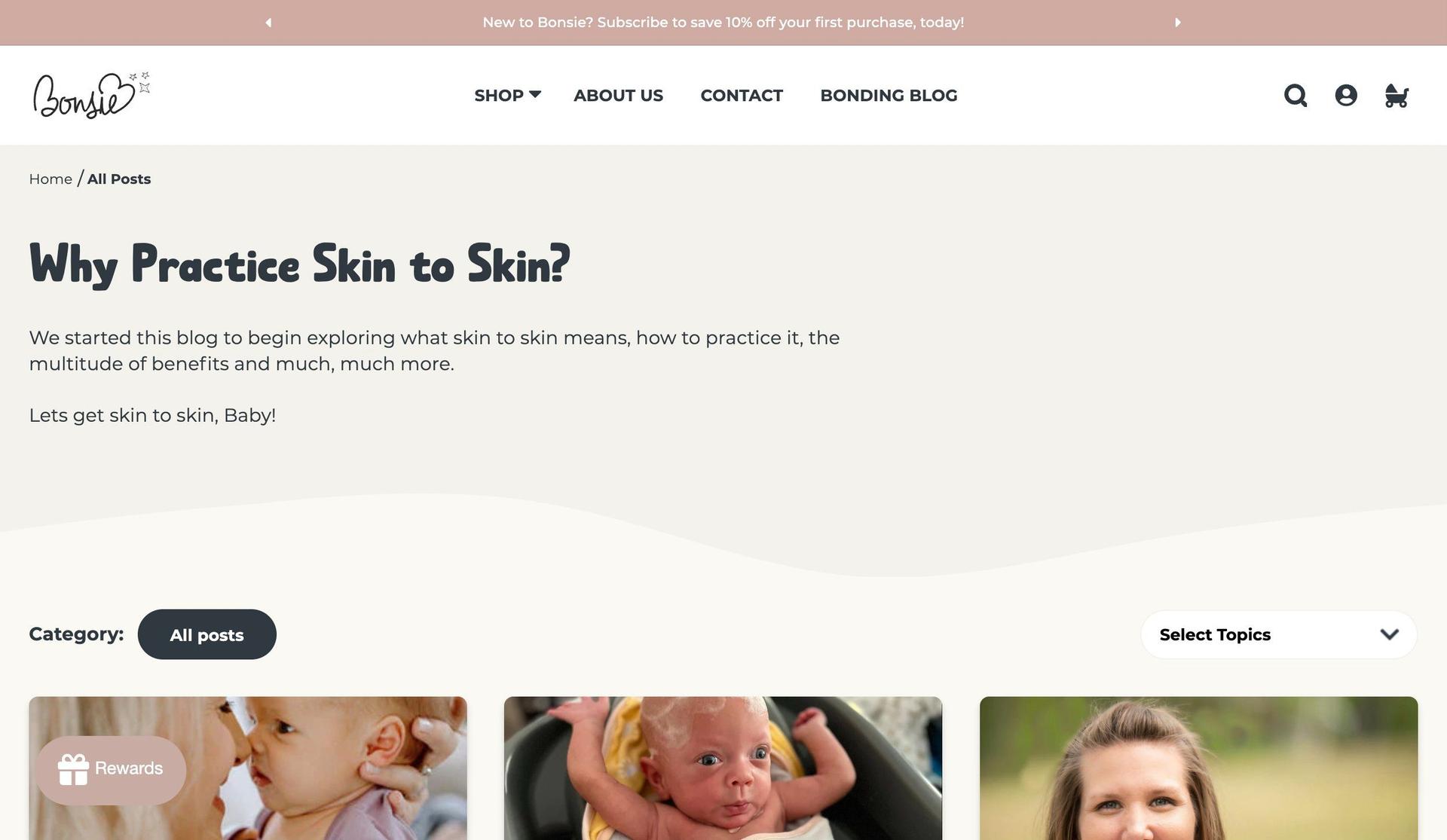 Bonsie-wix blog examples