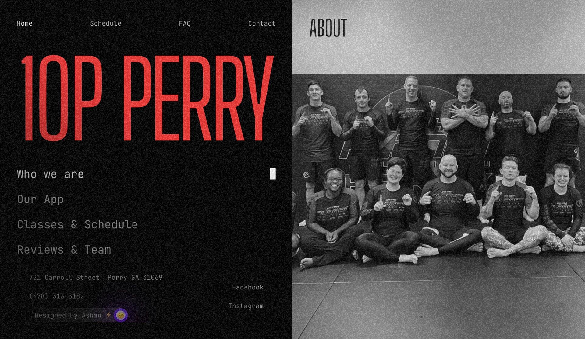 10th Planet Perry-framer website examples