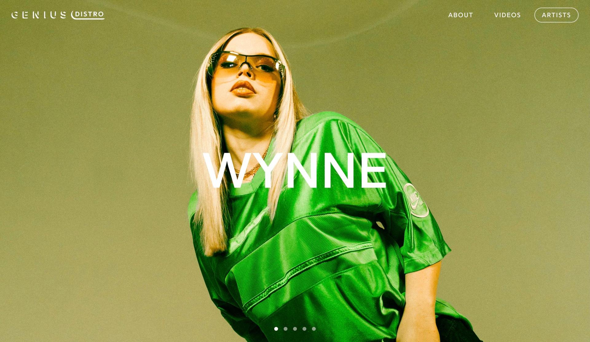 Genius Distro-framer website examples
