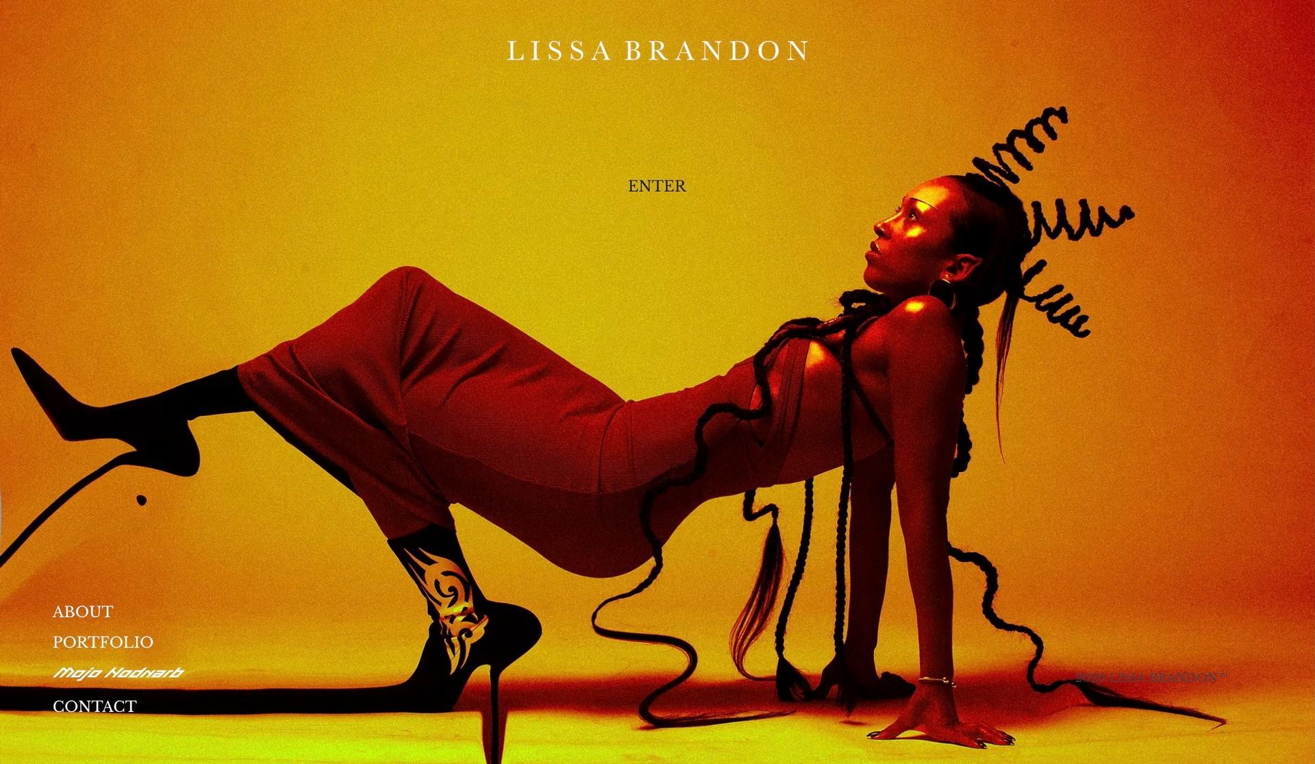 Lissa Brandon-artist websites