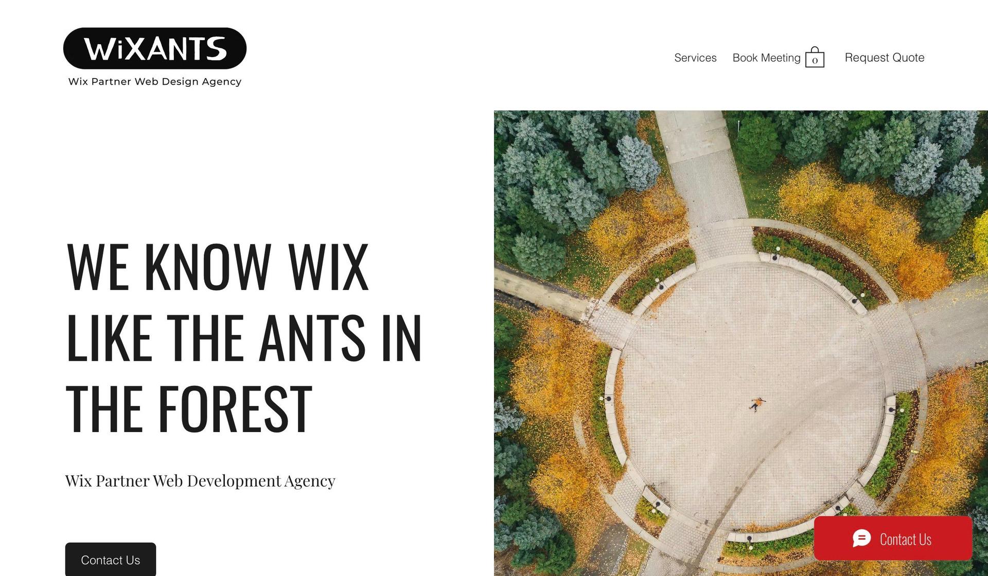 Wix Ants-web developer portfolios