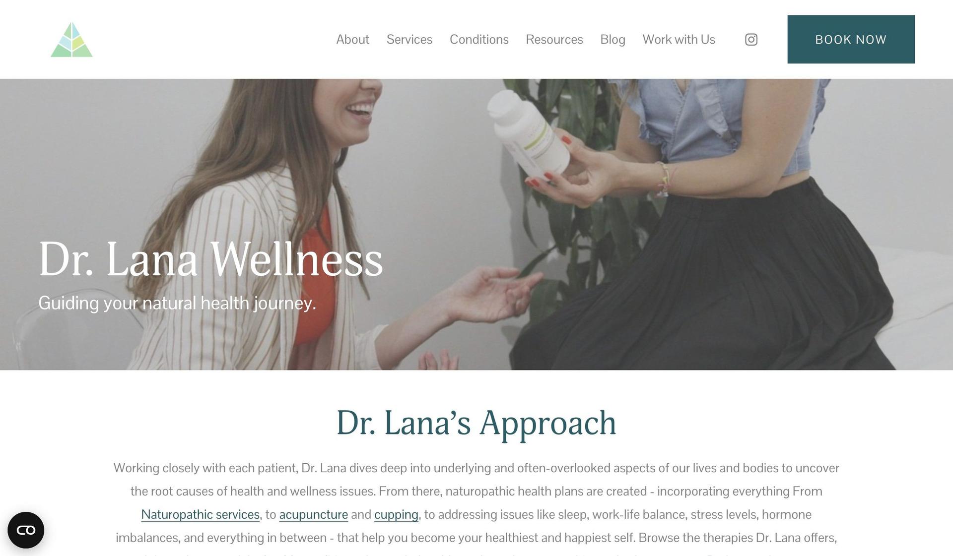 Dr. Lana Wellness-medical practice websites