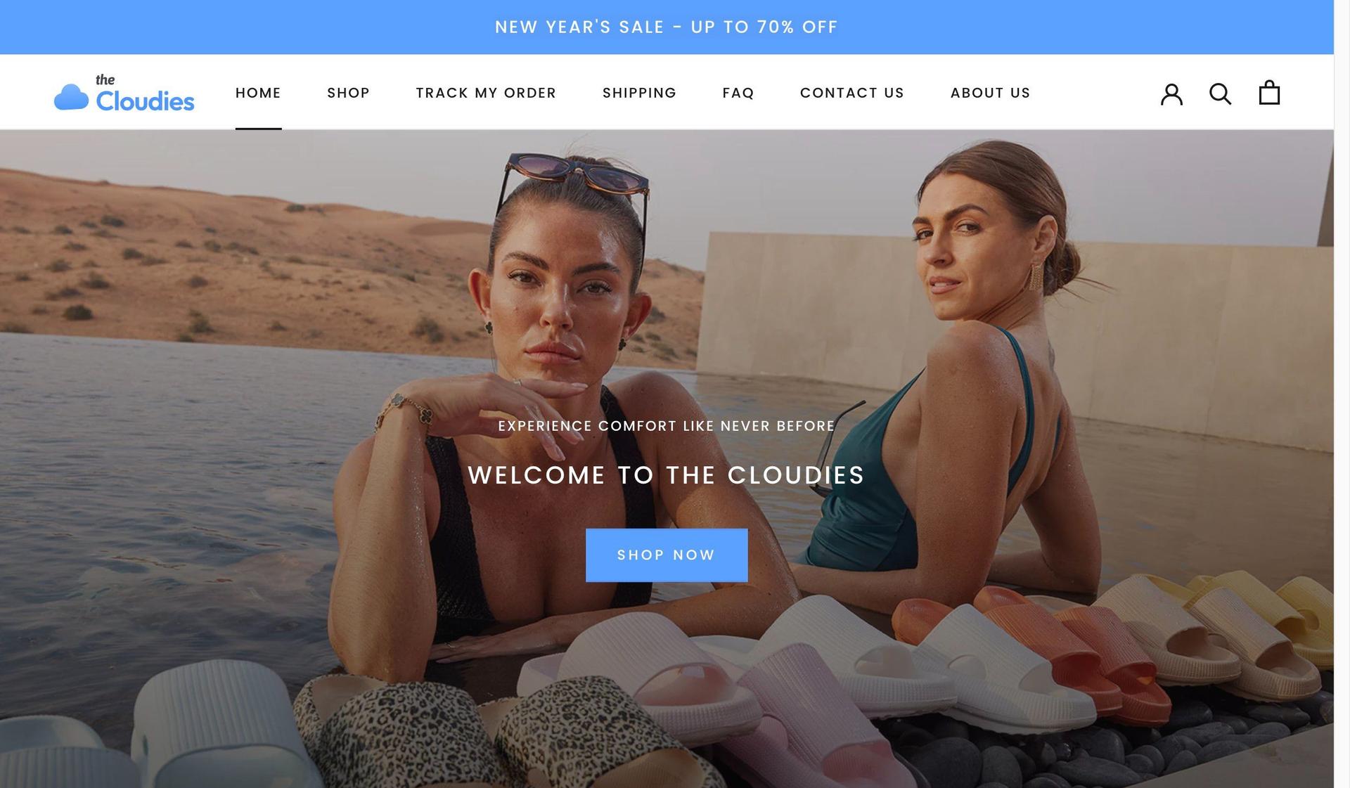 The Cloudies-shopify dropshipping store examples