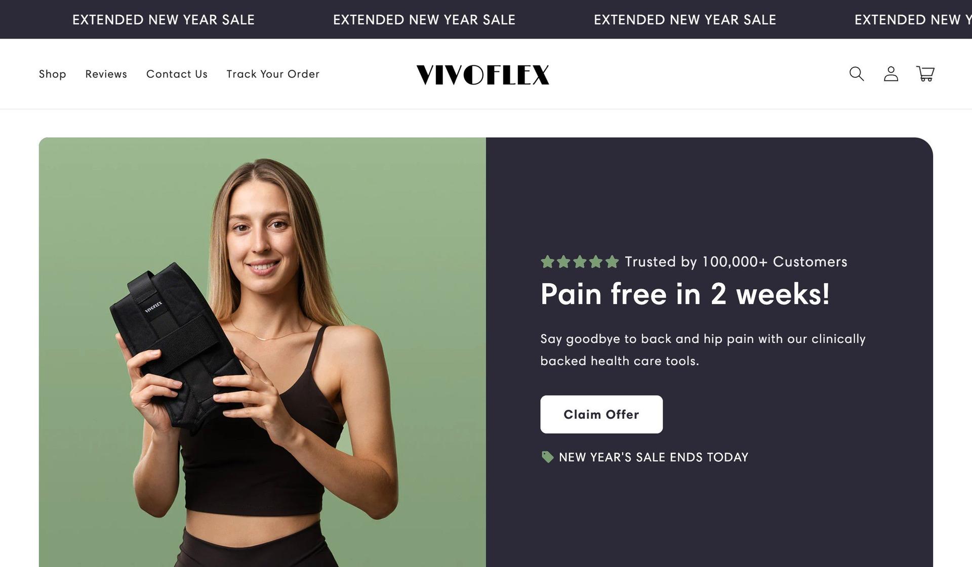 Flex Strap-shopify dropshipping store examples