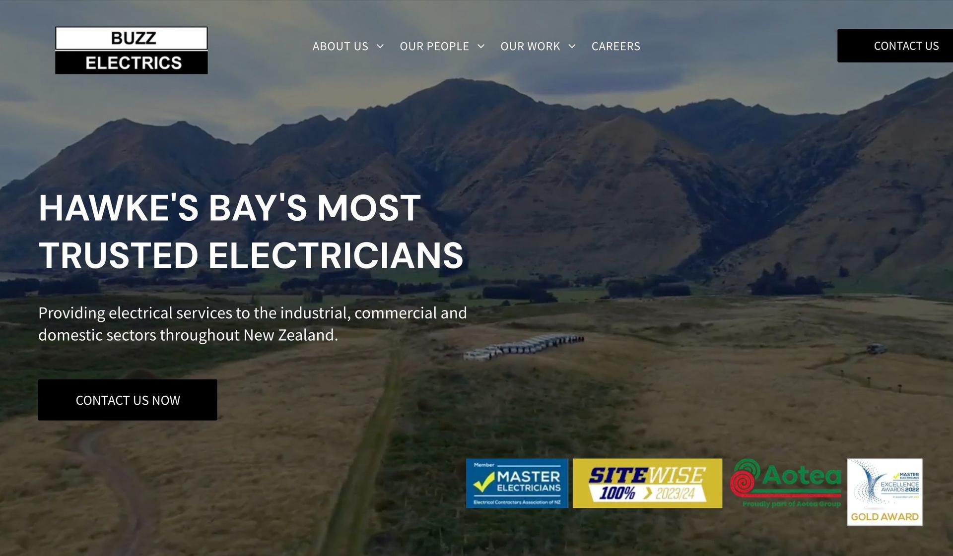 Buzz Electric-duda website examples