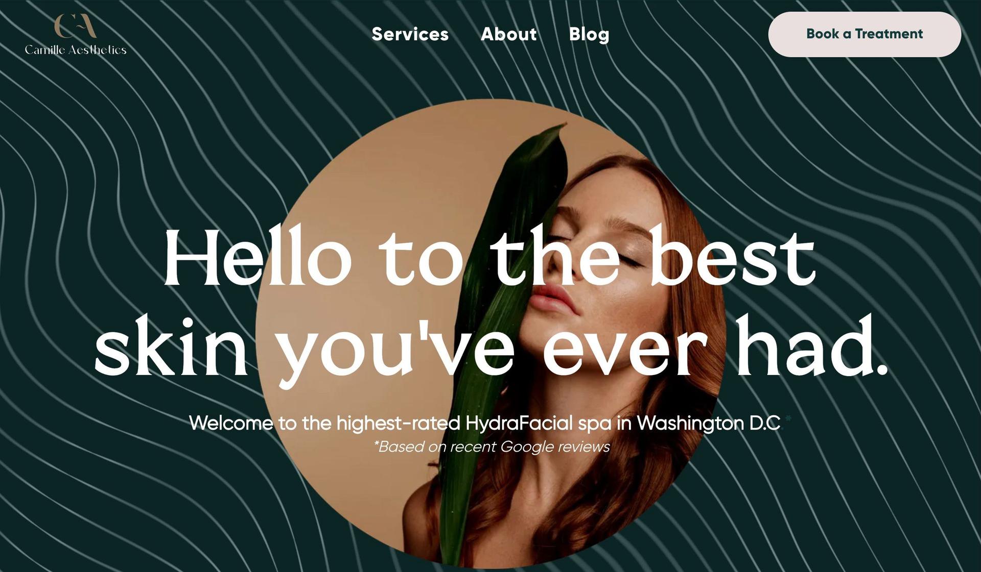 Camille Aesthetics-esthetician websites