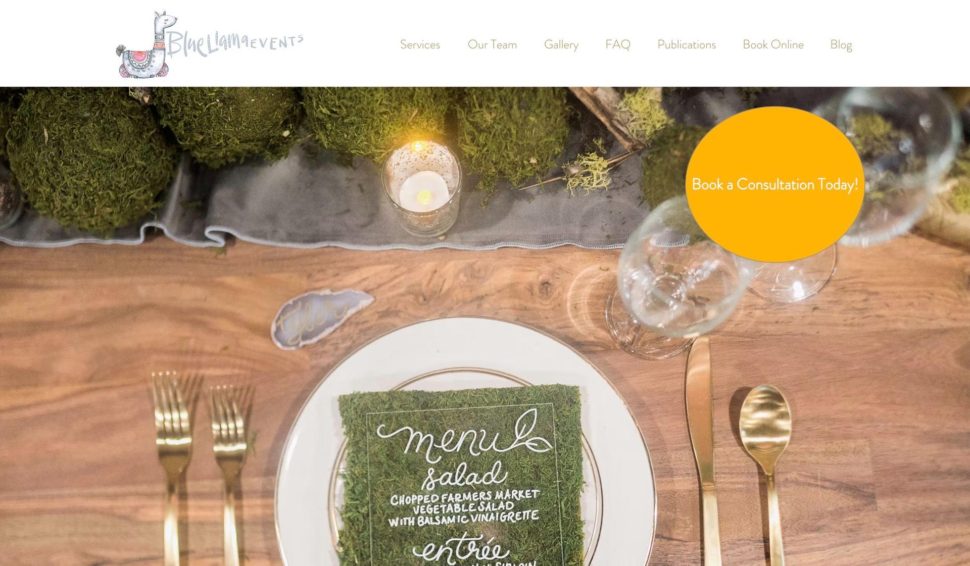 Blue Llama Events-event planner websites