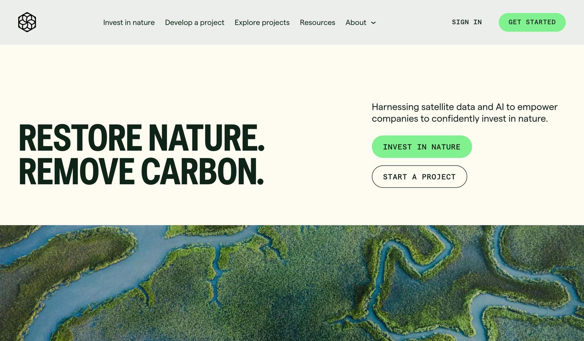 Pachama-green websites