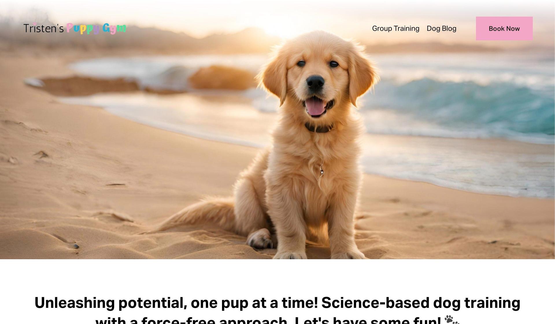 Tristen's Puppy Gym-gym website design