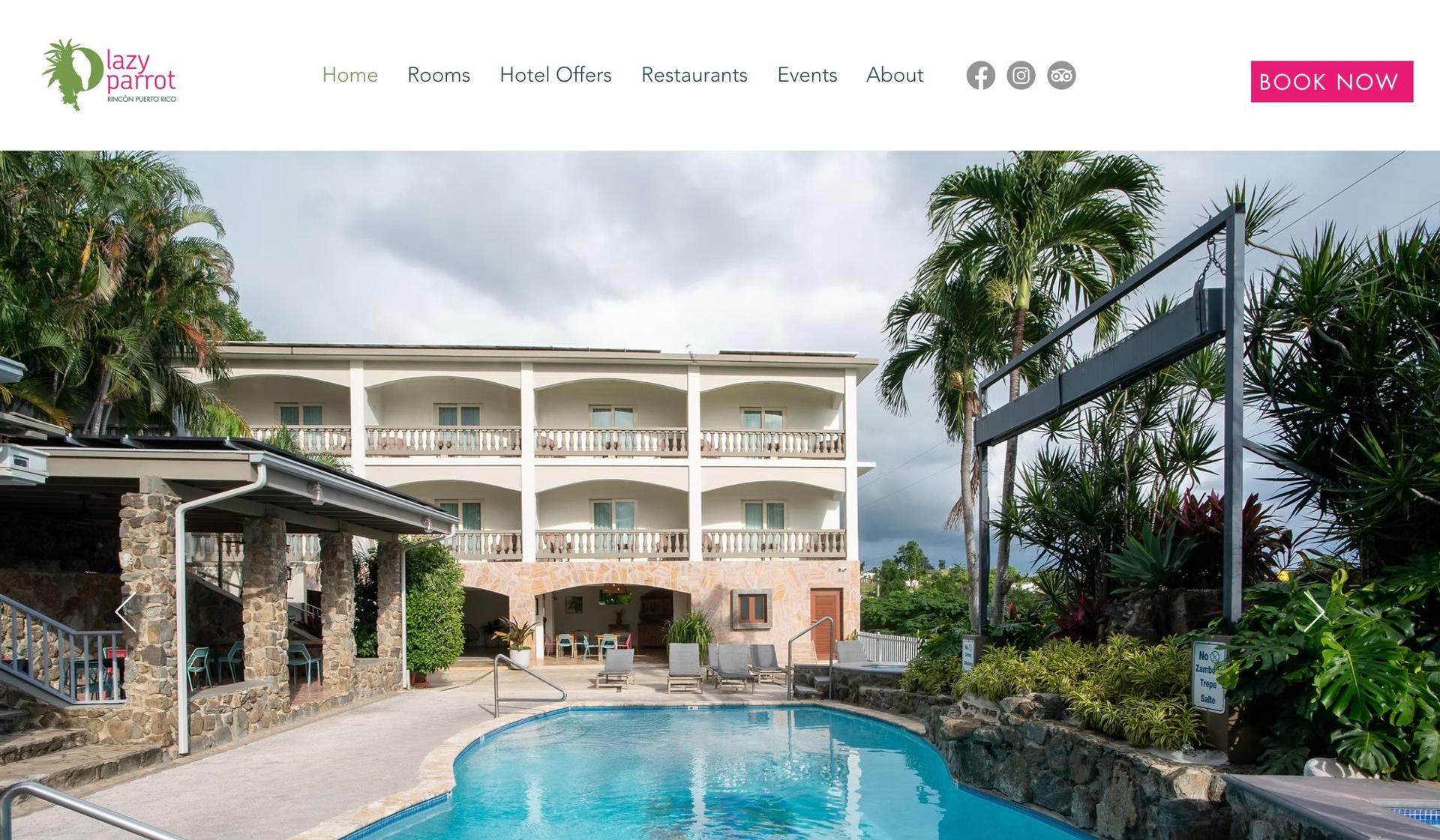 Lazy Parrot-hotel website examples