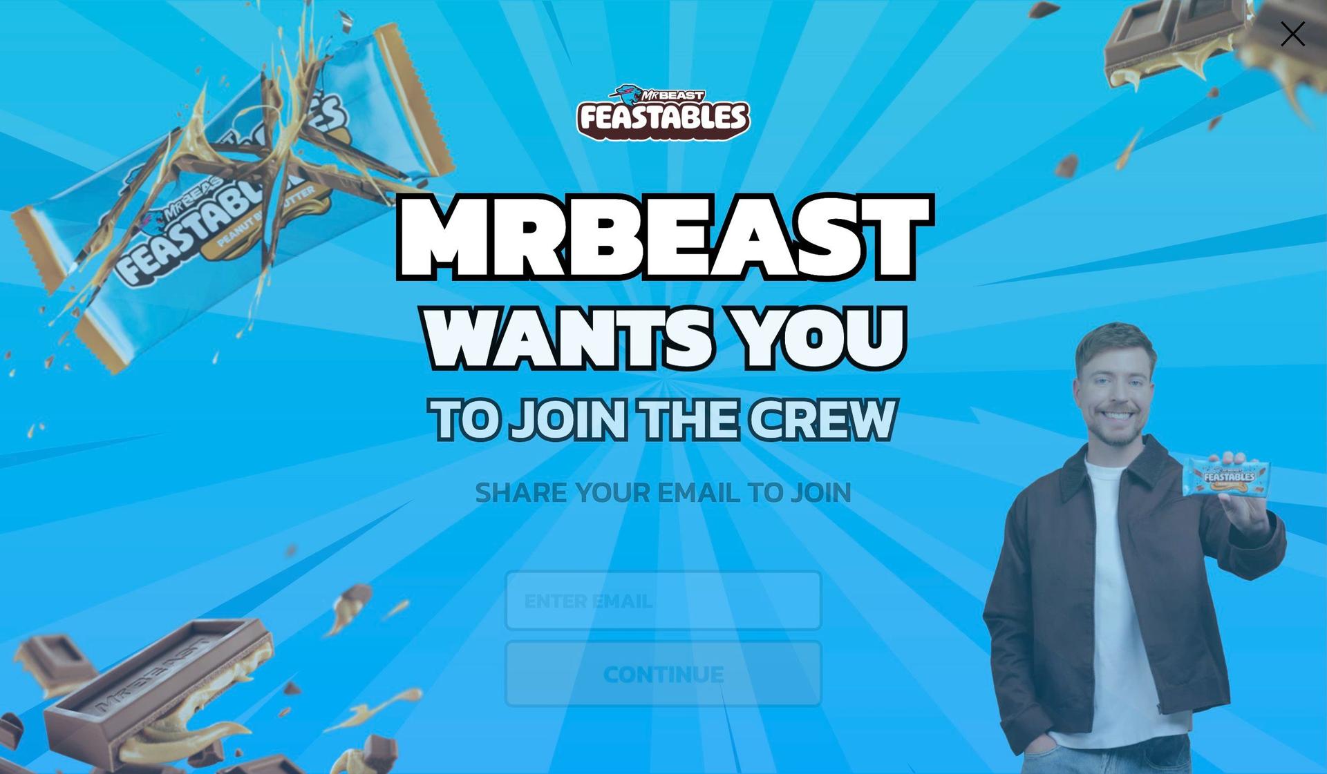 Feastables-influencer website examples
