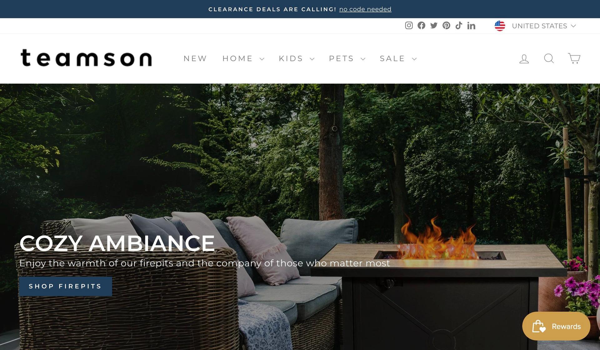Teamson-shopify dropshipping store examples