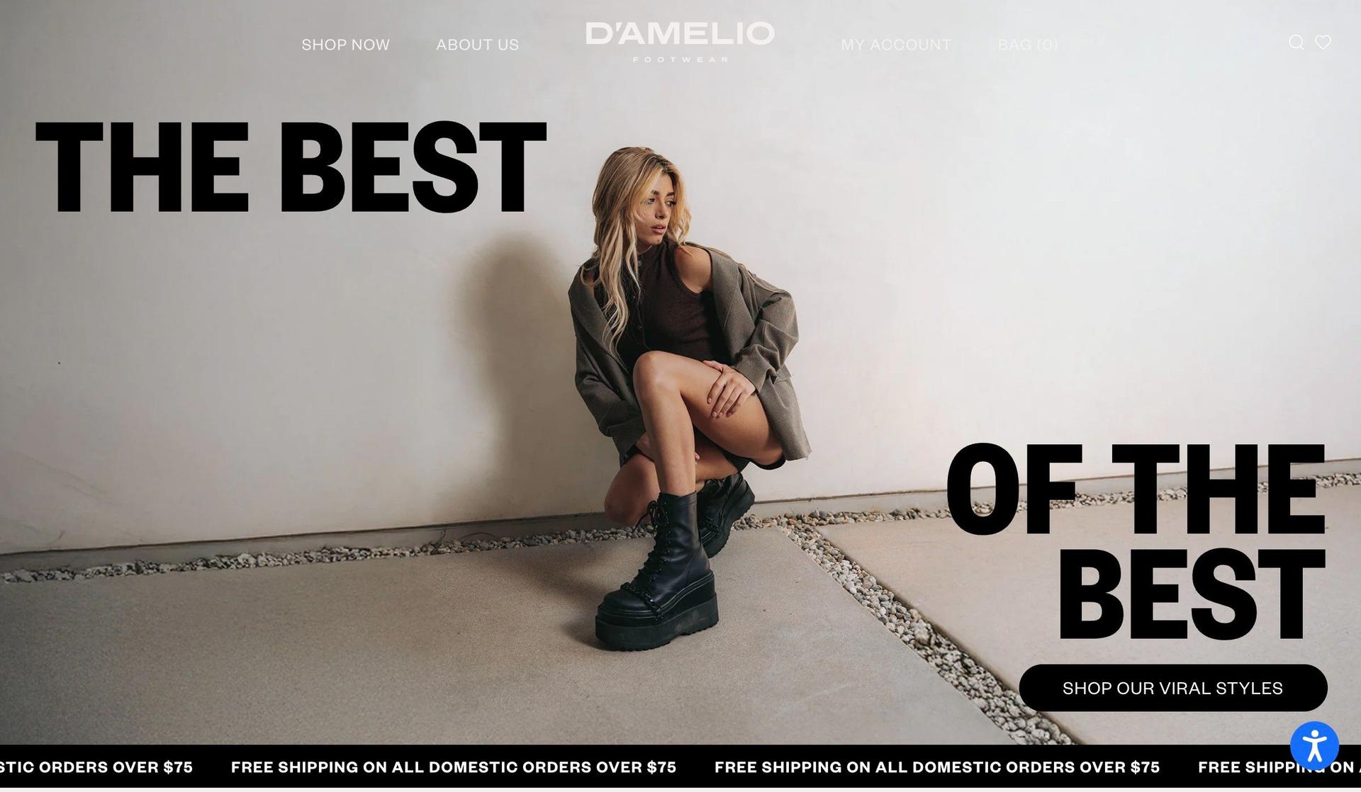 D'Amelio Footwear-influencer website examples