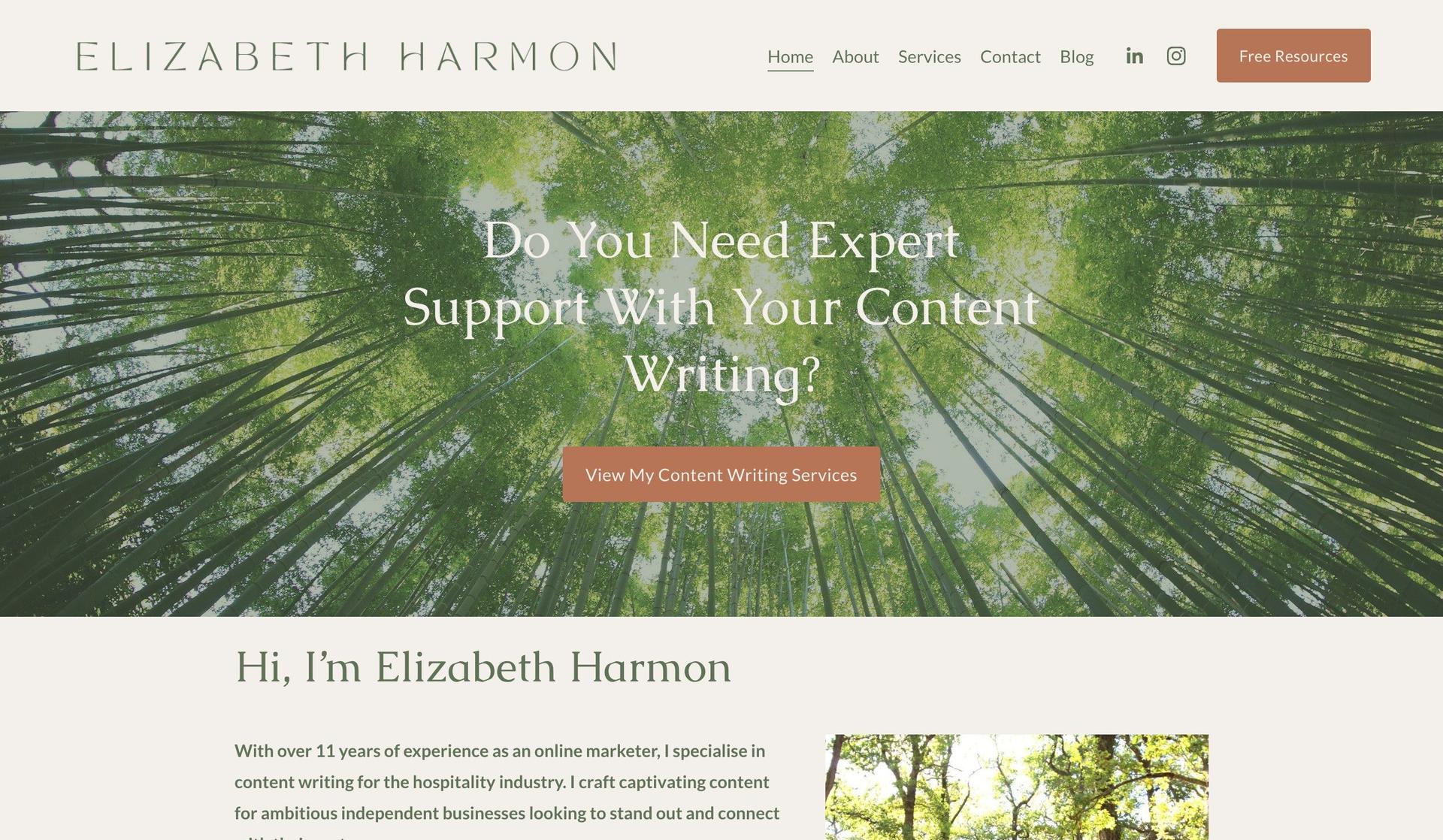 Elizabeth Harmon-marketing portfolios