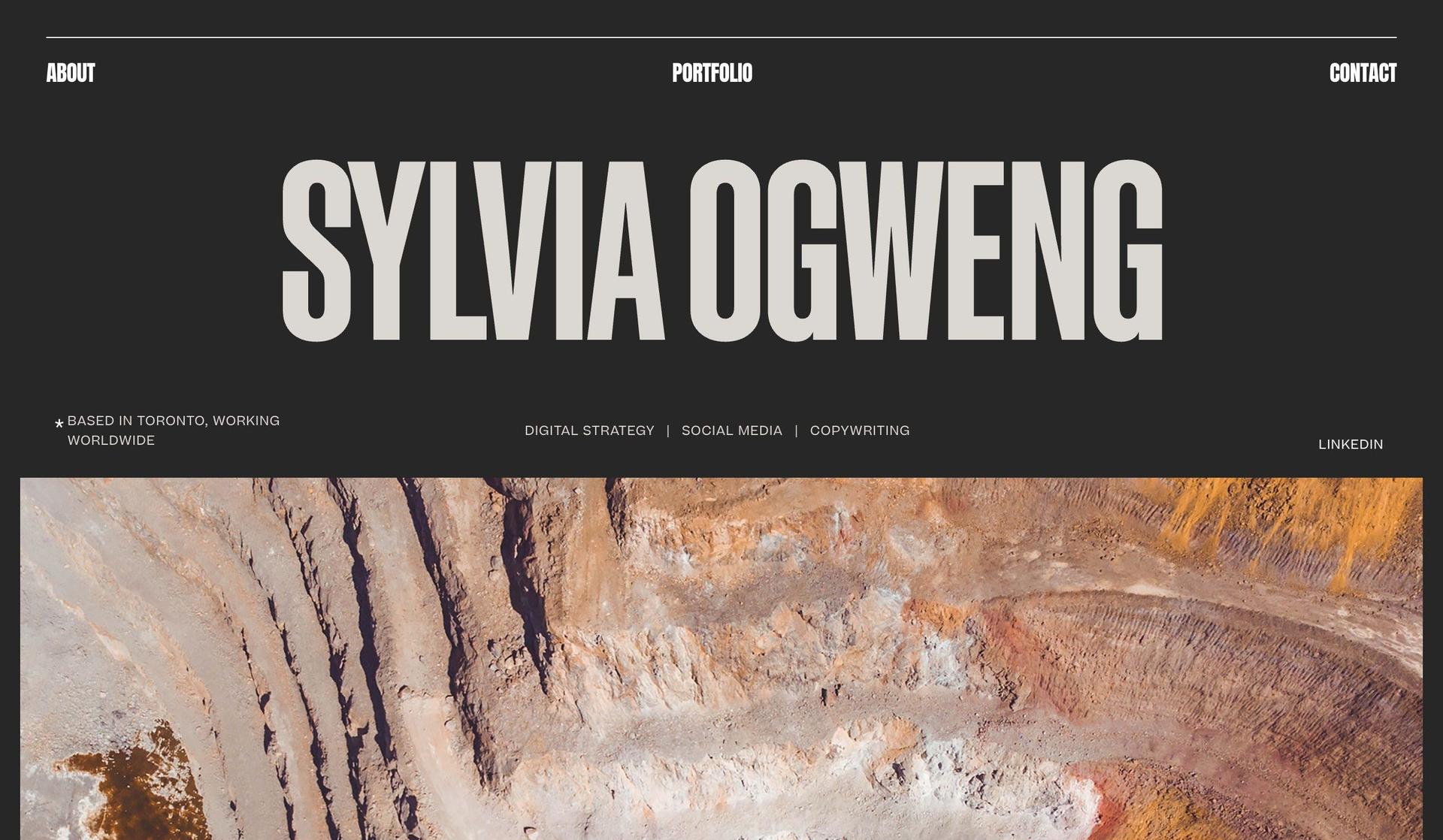 Sylvia Ogweng-marketing portfolios
