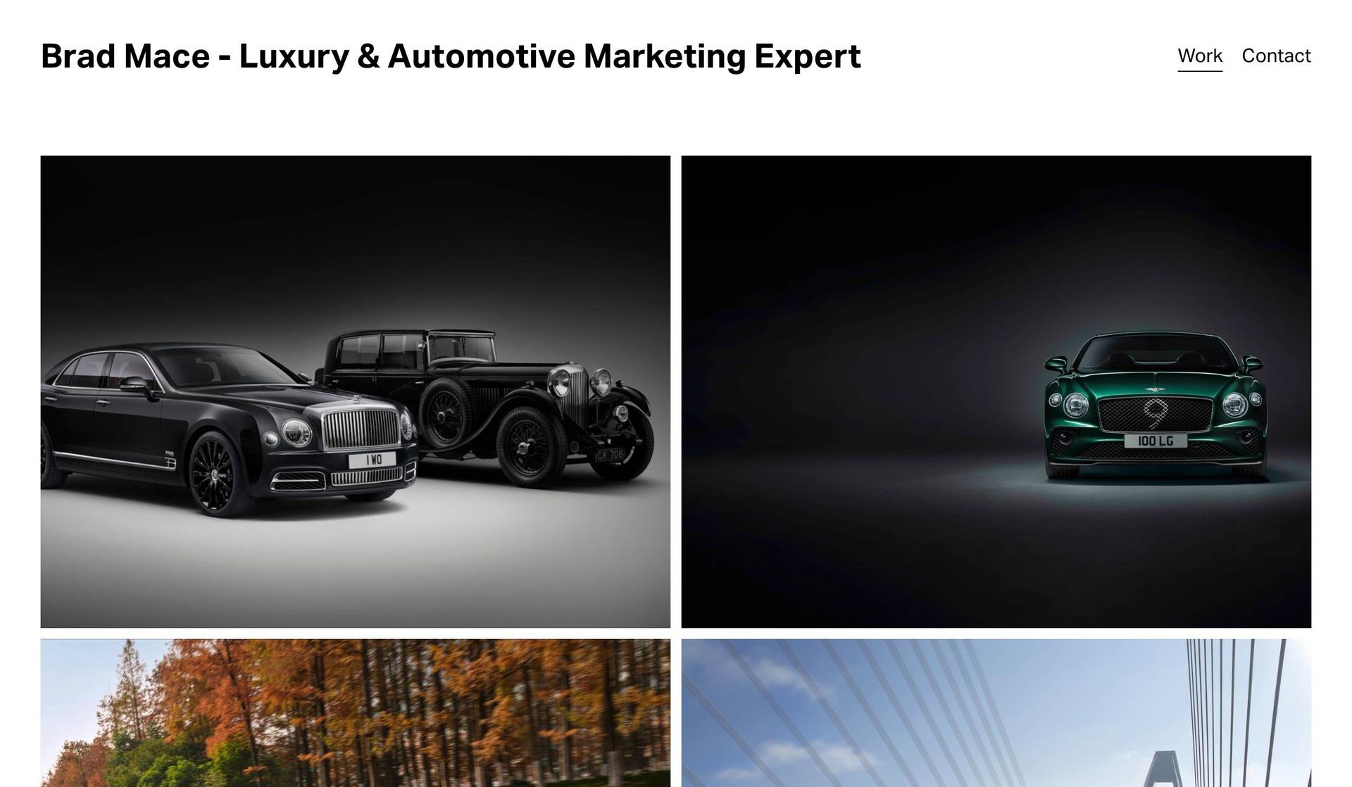 Braddels-marketing portfolios