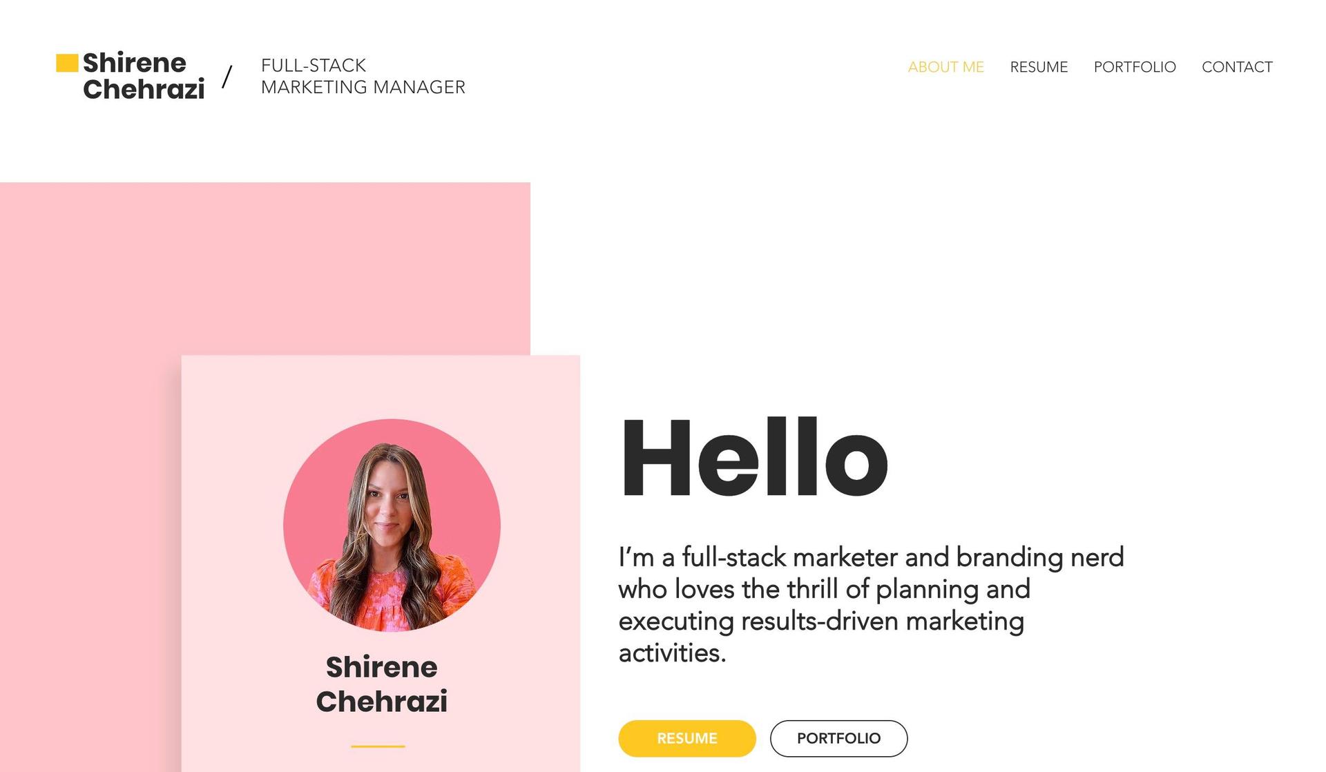 Shirene Chehrazi-marketing portfolios