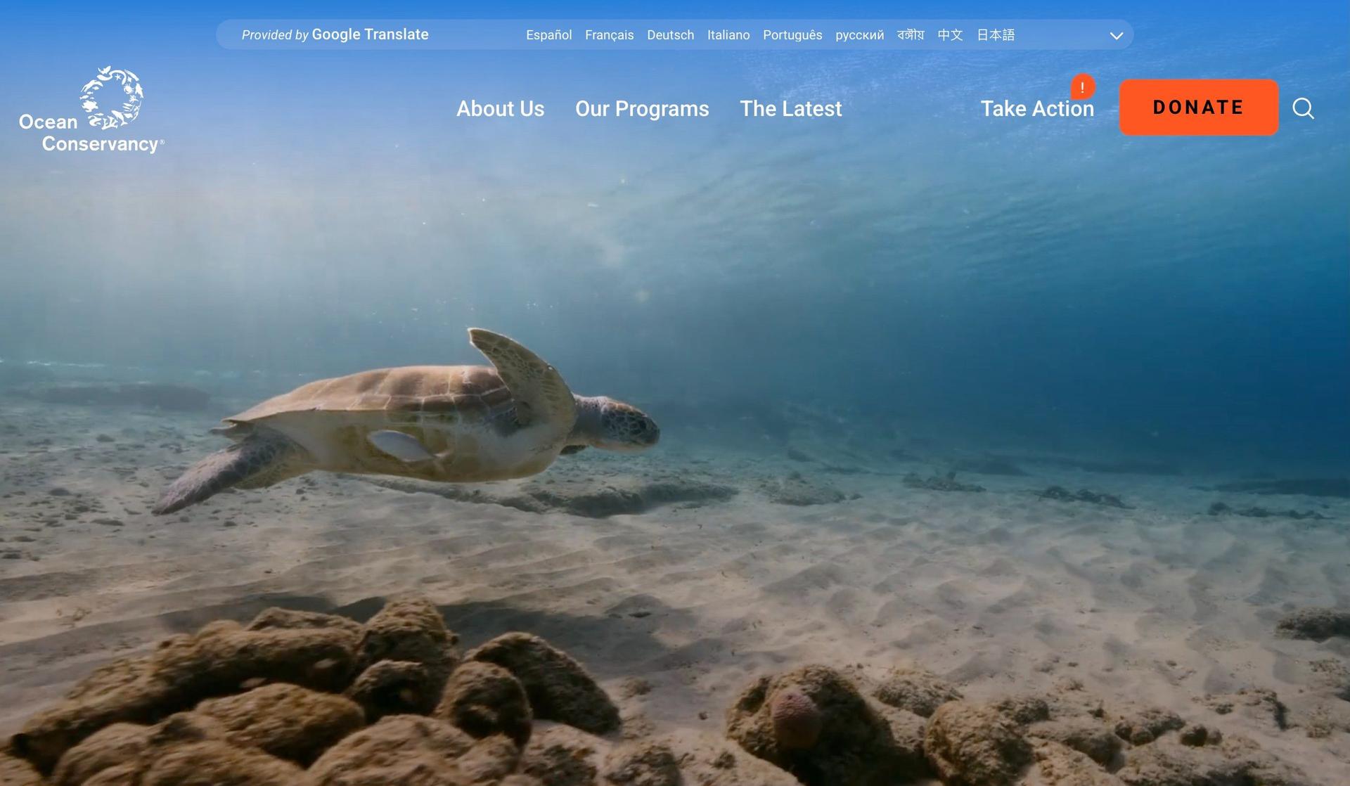 Ocean Conservancy-nonprofit websites