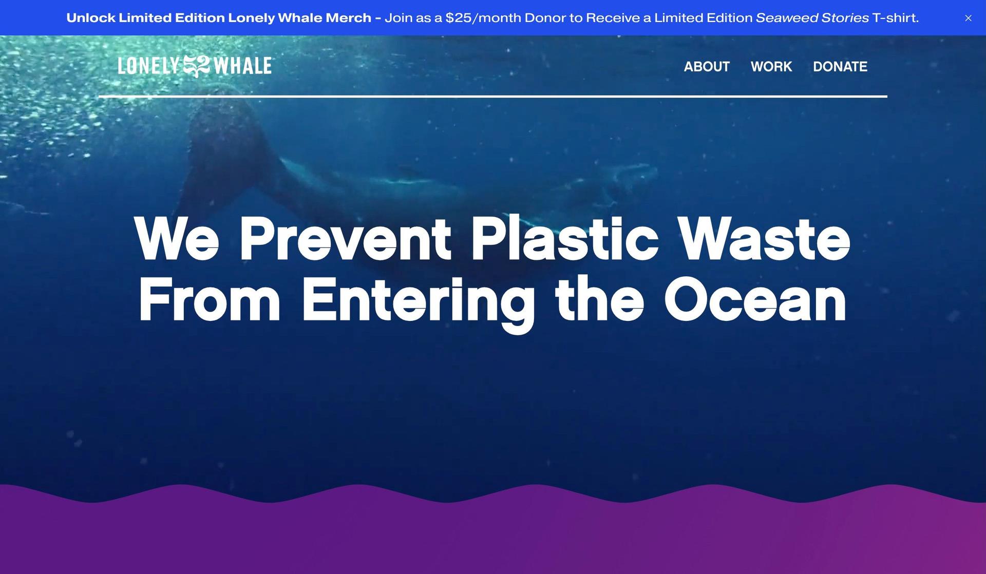 Lonely Whale-nonprofit websites