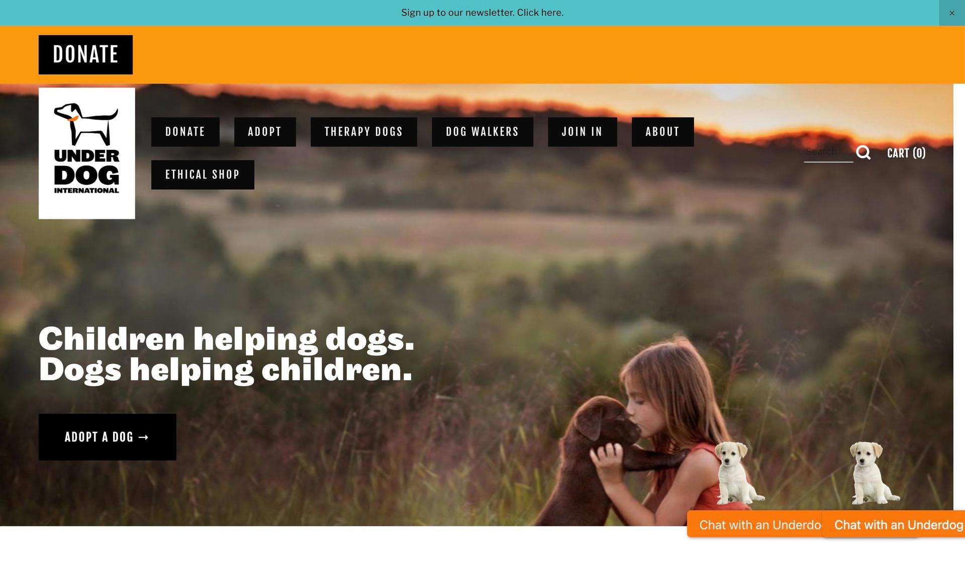 The Underdog-nonprofit websites