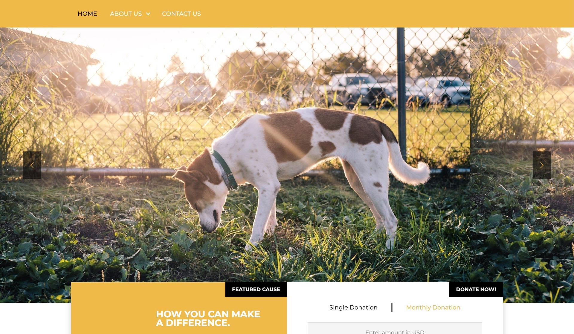 Furry Friends Sanctuary-nonprofit websites