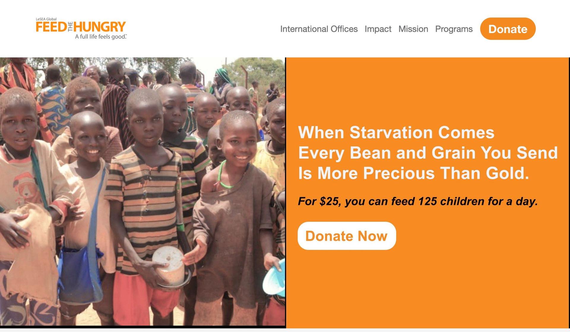 Feed the Hungry-nonprofit websites