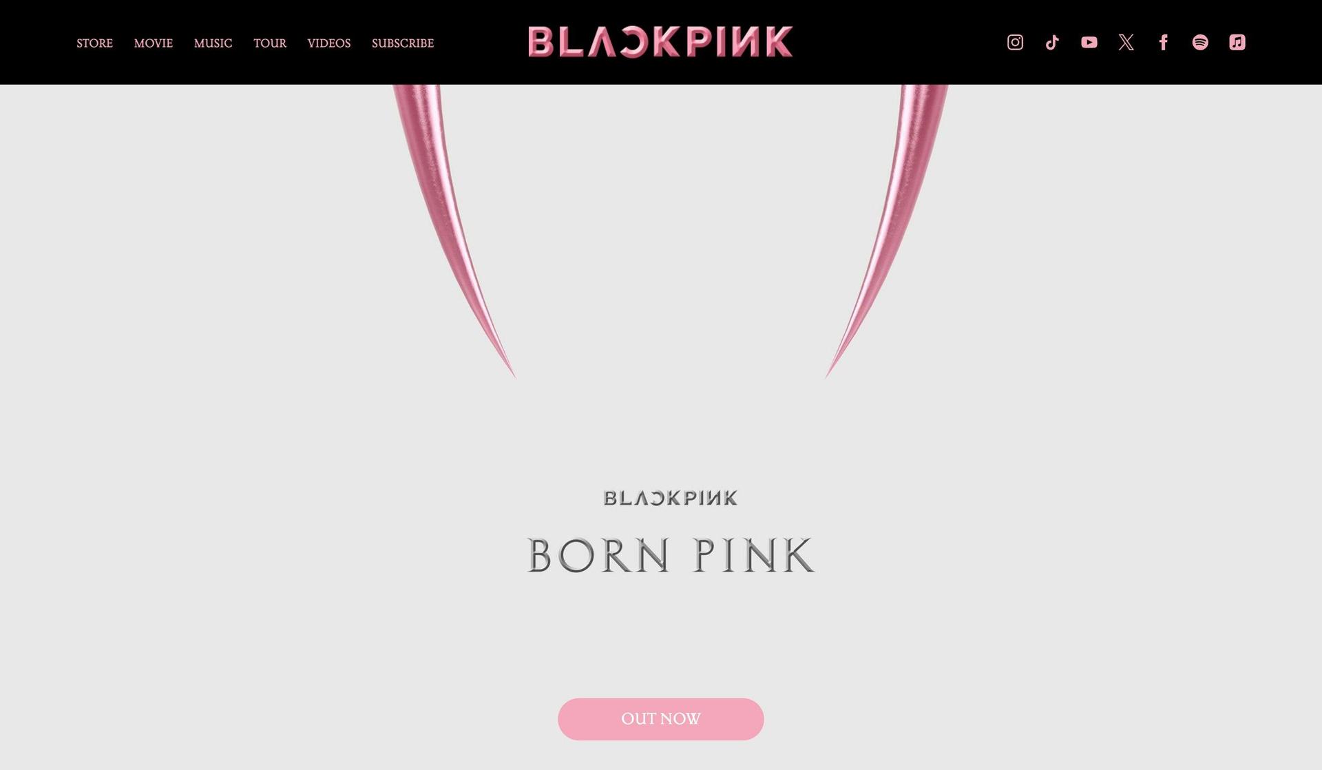 BLACKPINK-musician websites