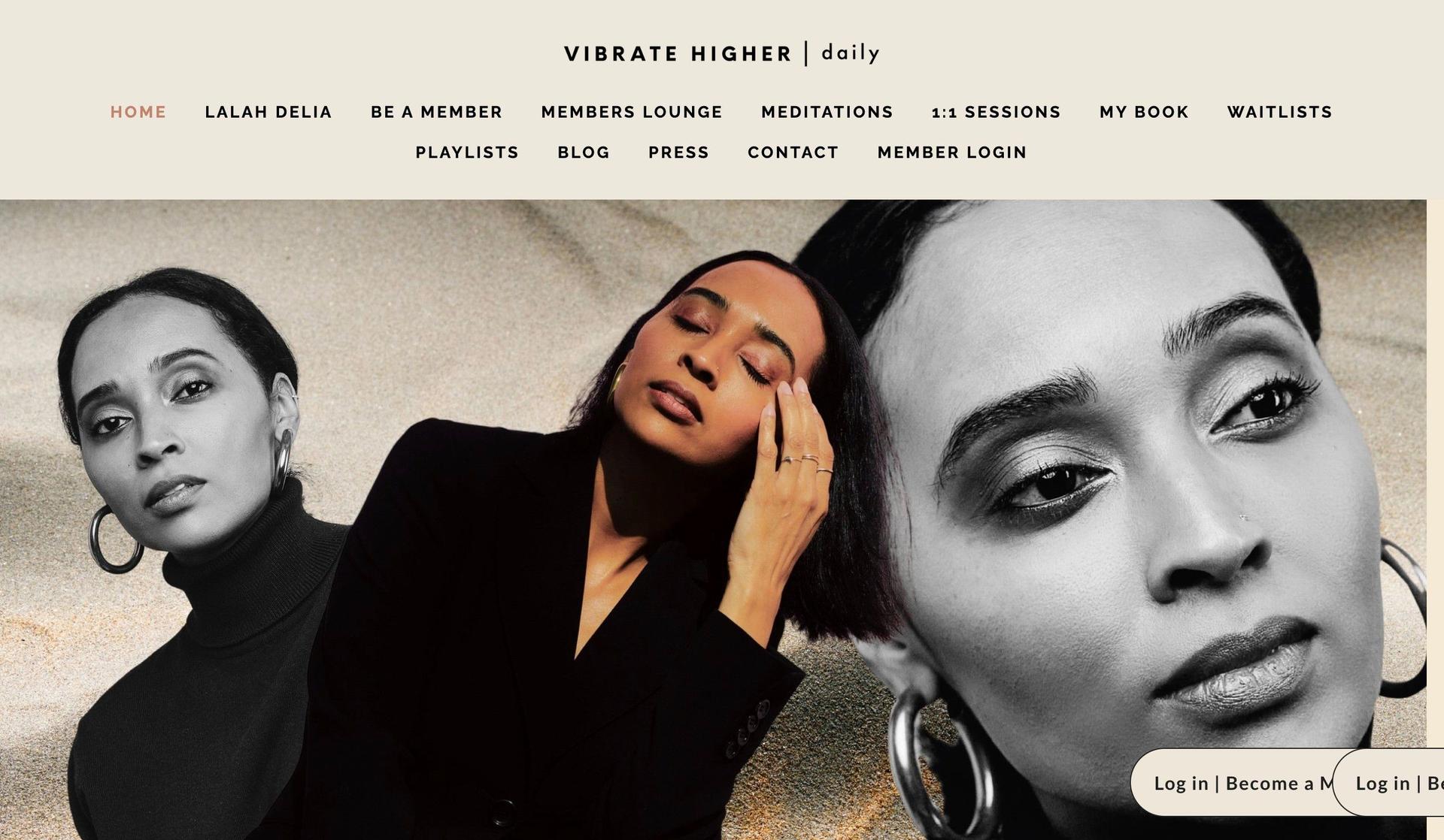 Vibrate Higher Daily-personal brand websites