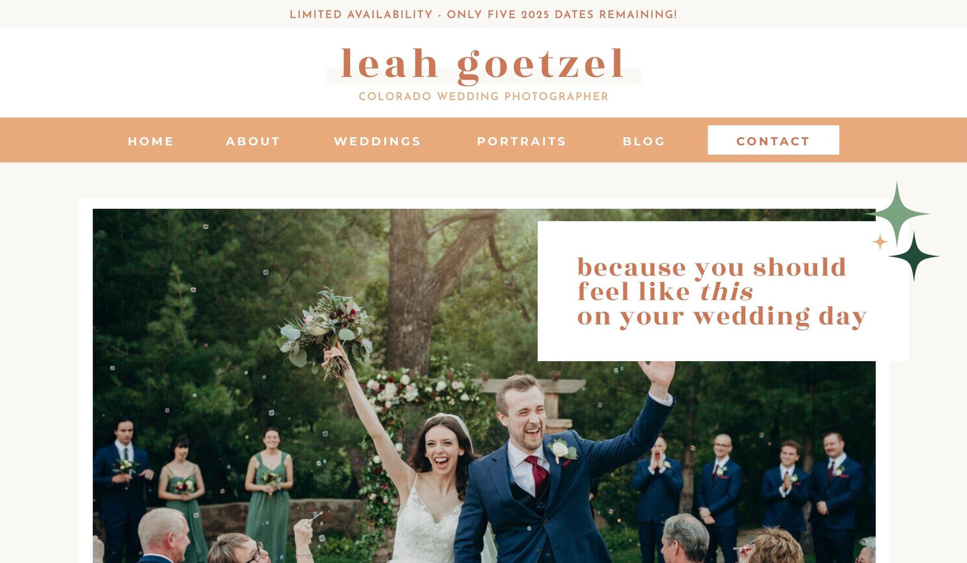 Leah Goetzel-personal website examples