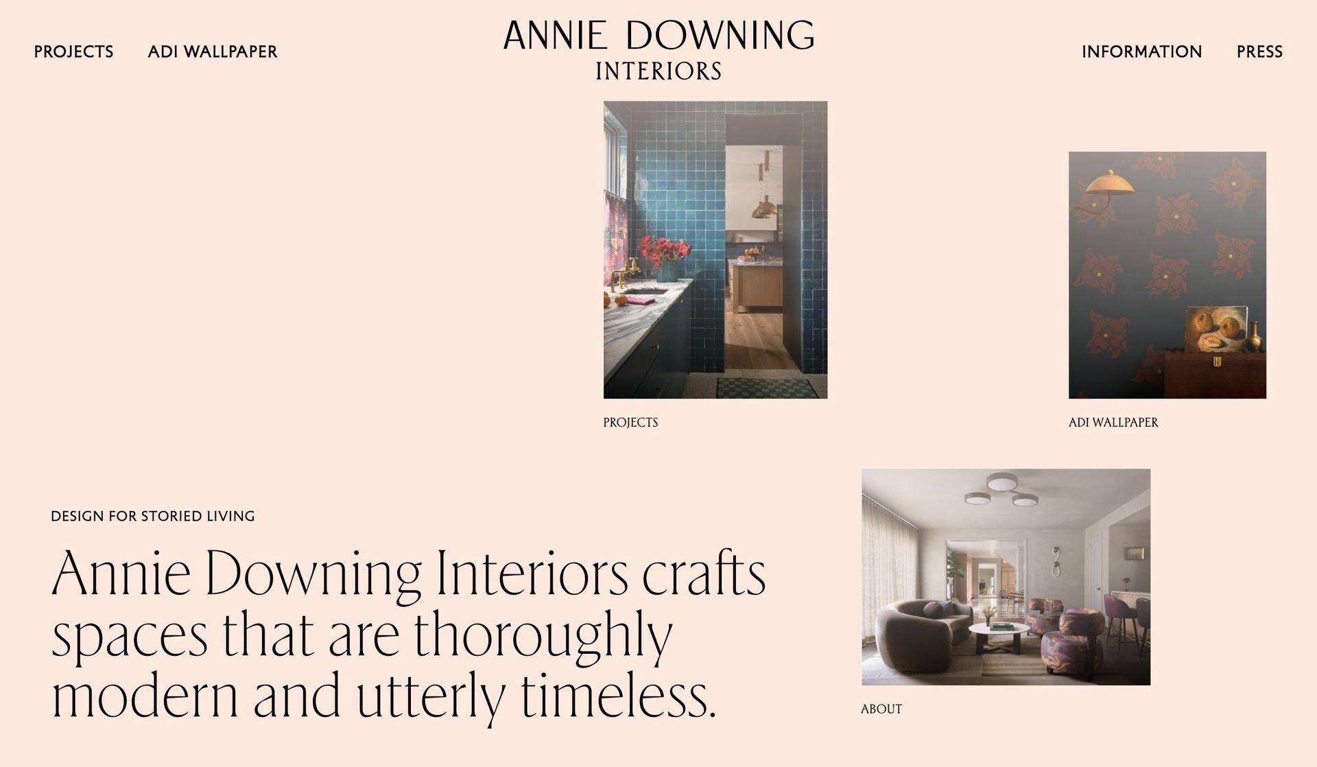Annie Downing-portfolio websites