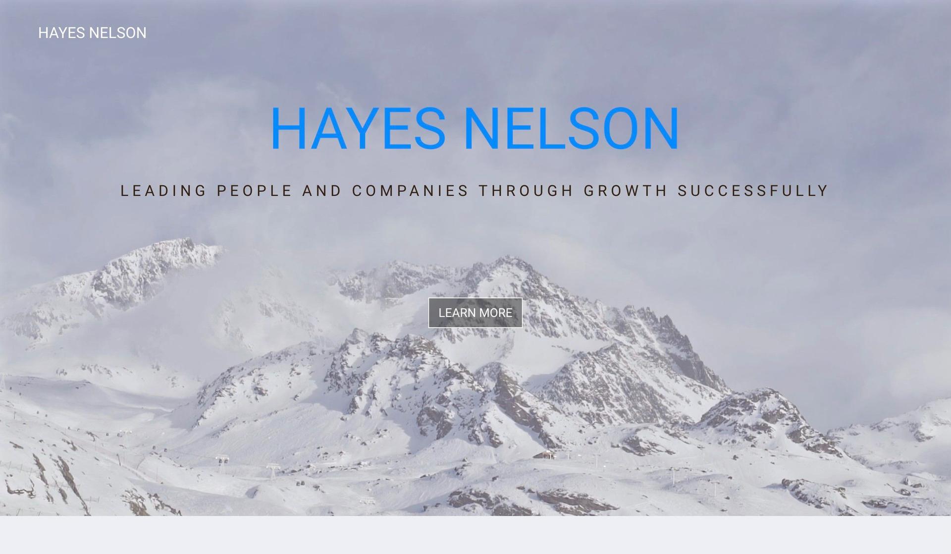 Hayes Nelson-resume website examples