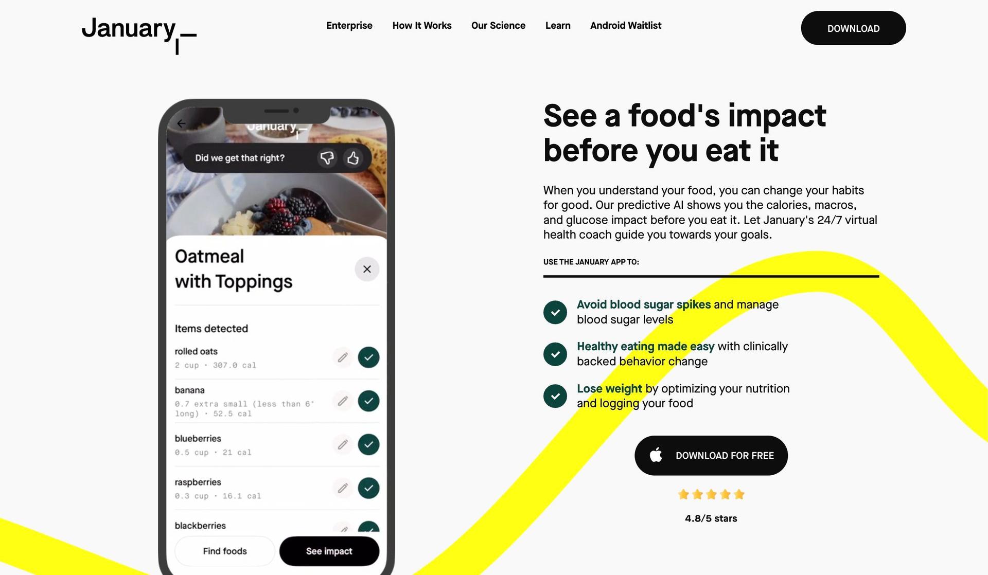 January.ai-saas website examples