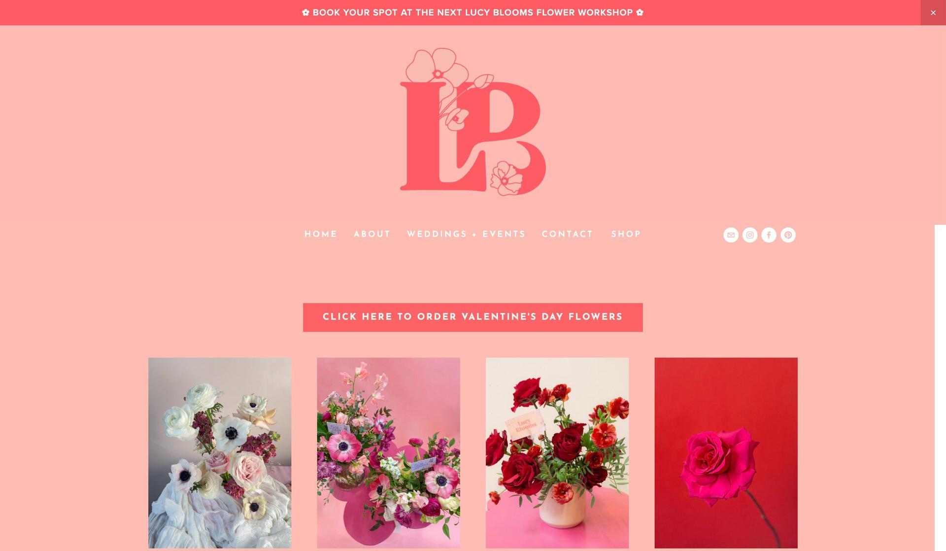 Hello Lucy Blooms-squarespace artist websites