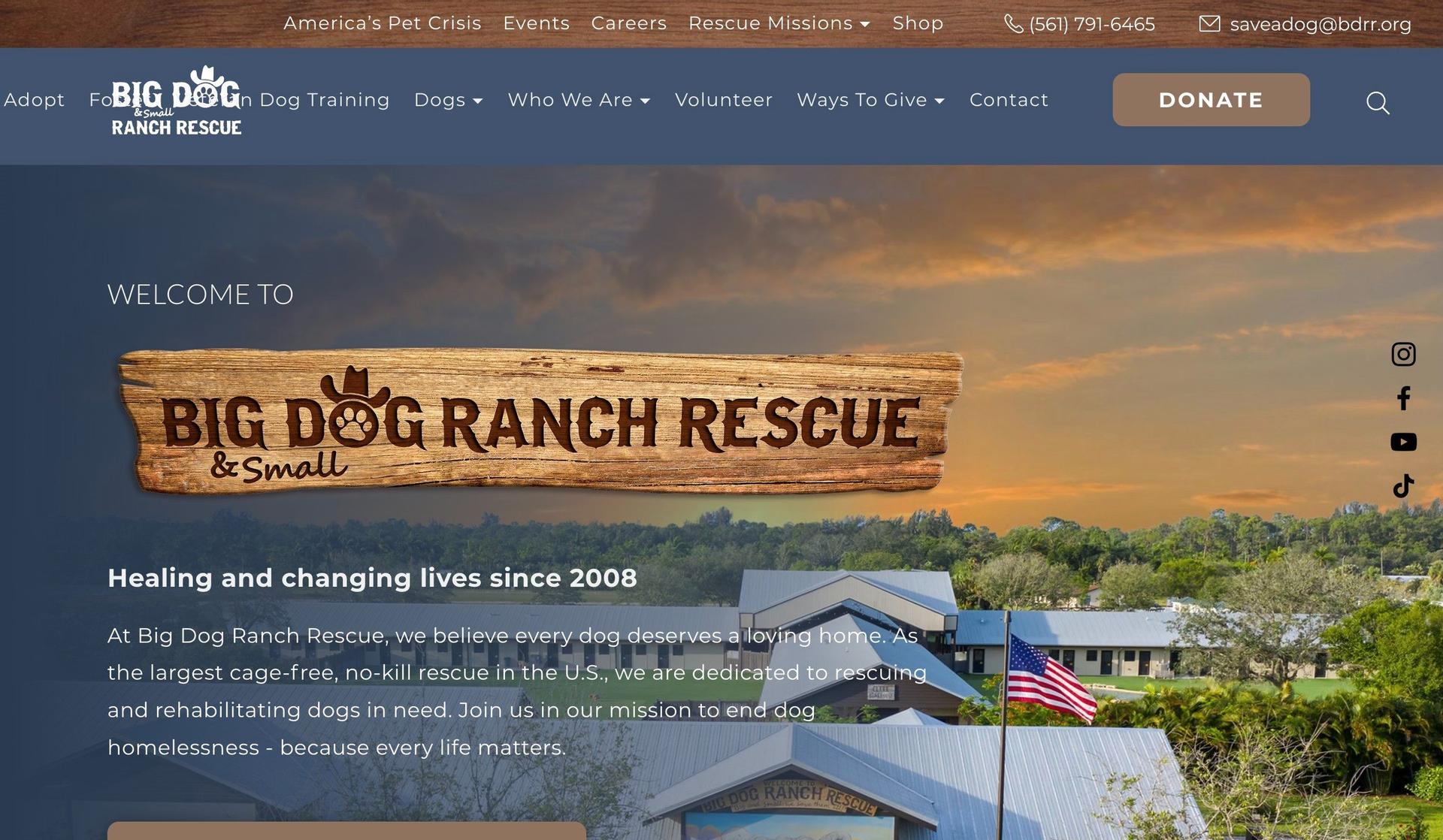 BDRR-squarespace nonprofit websites