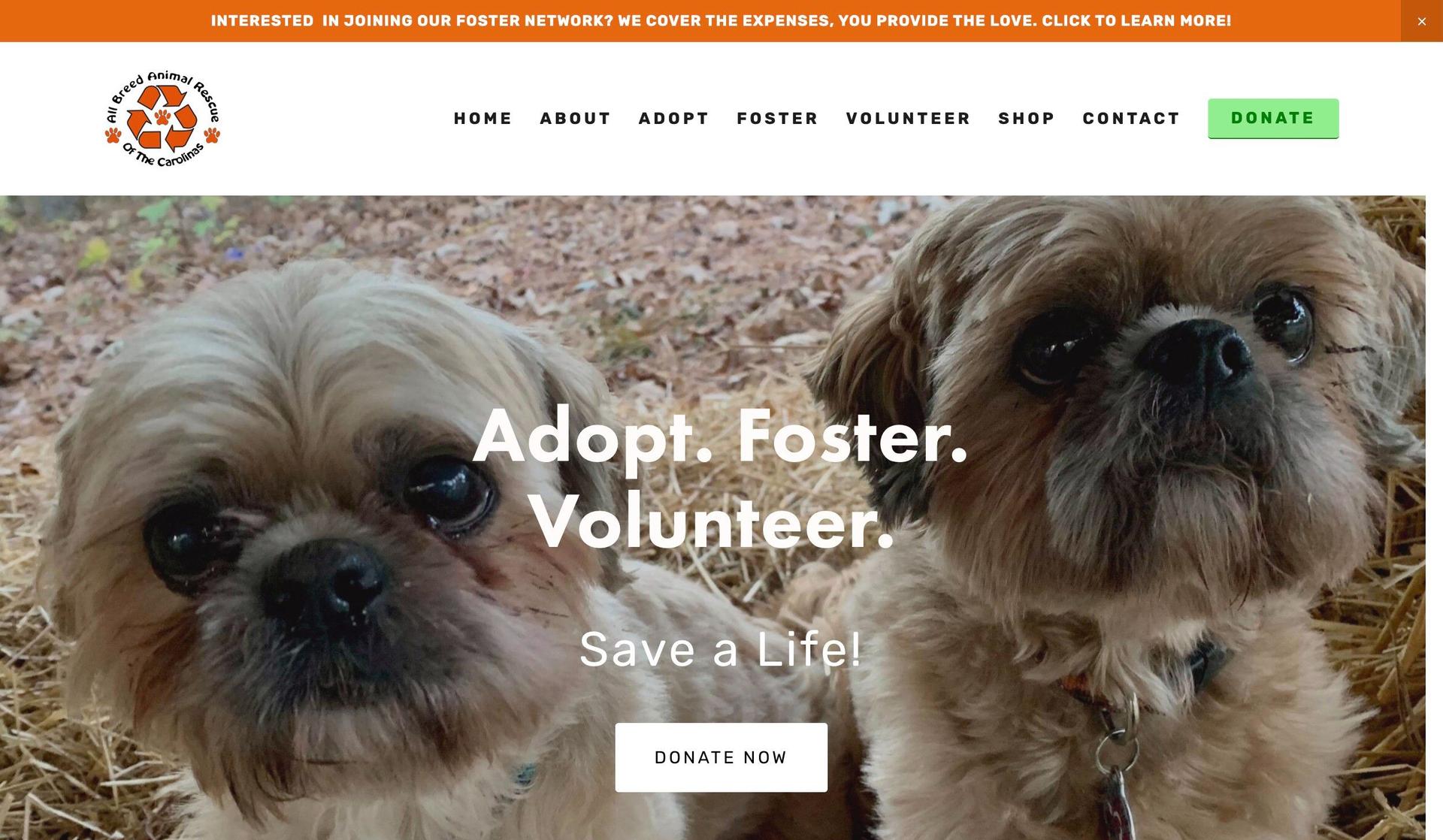 All Breed Animal Rescue-squarespace nonprofit websites