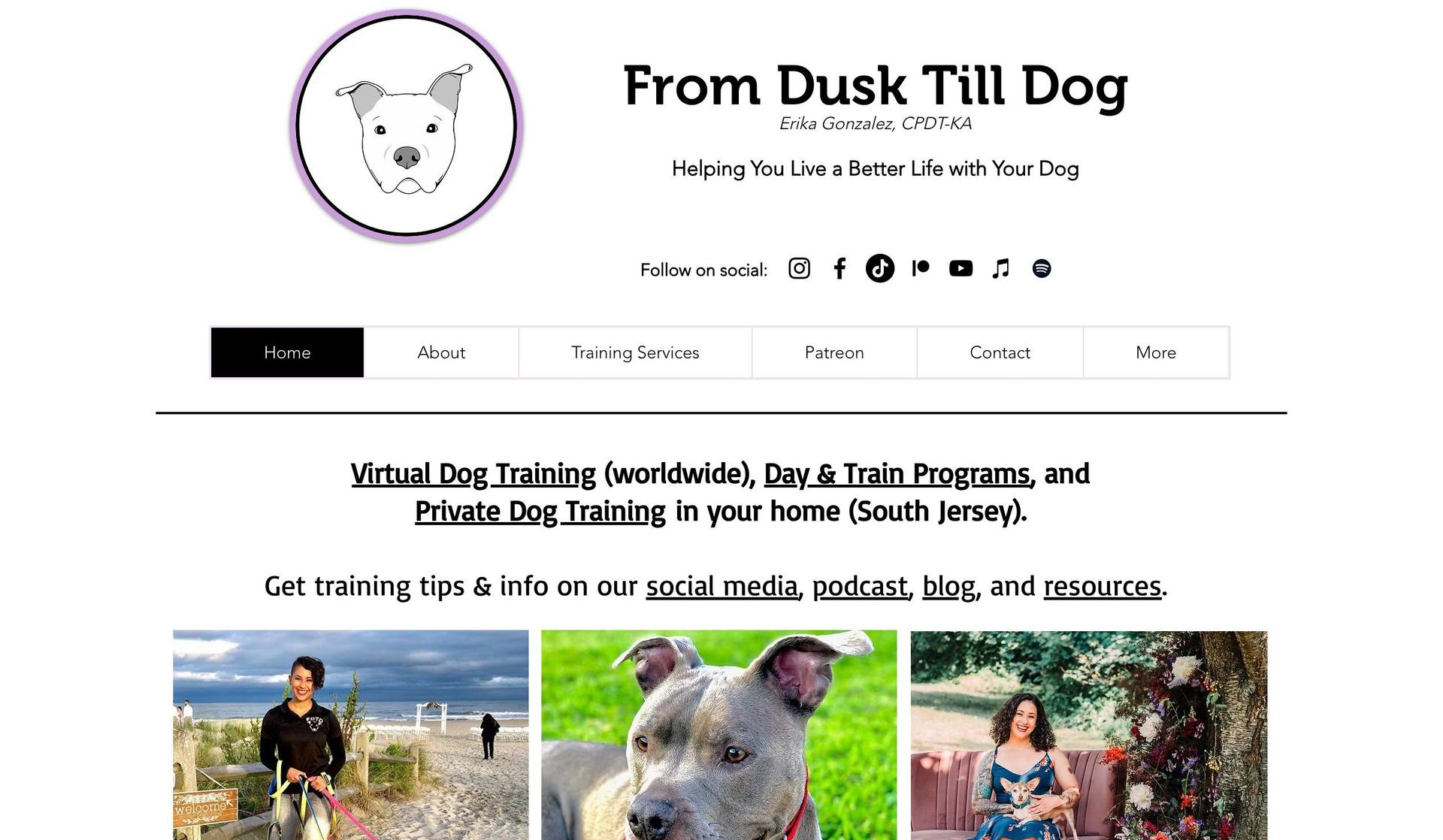 From Dusk Till Dog-teacher website examples