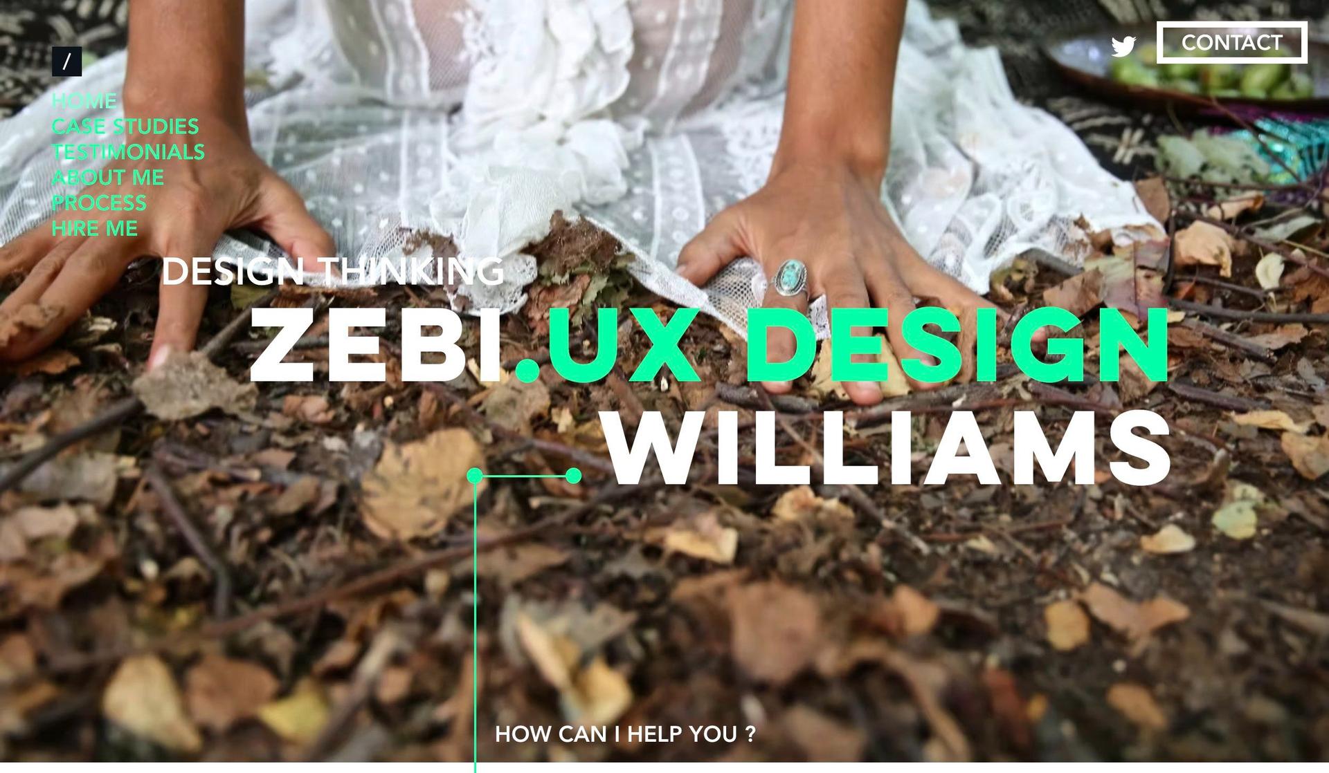 Zebi Williams-ux portfolio examples