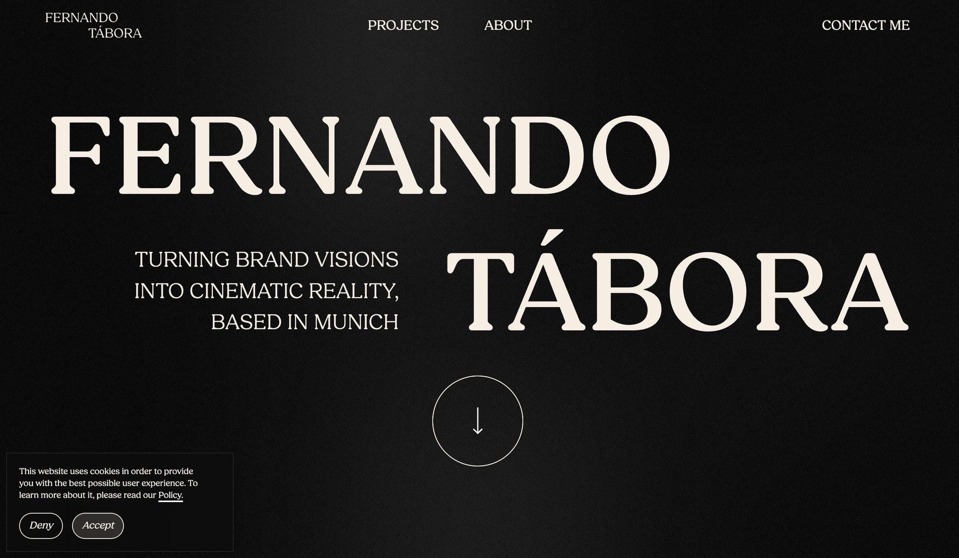 Fernando Tabora-videographer websites