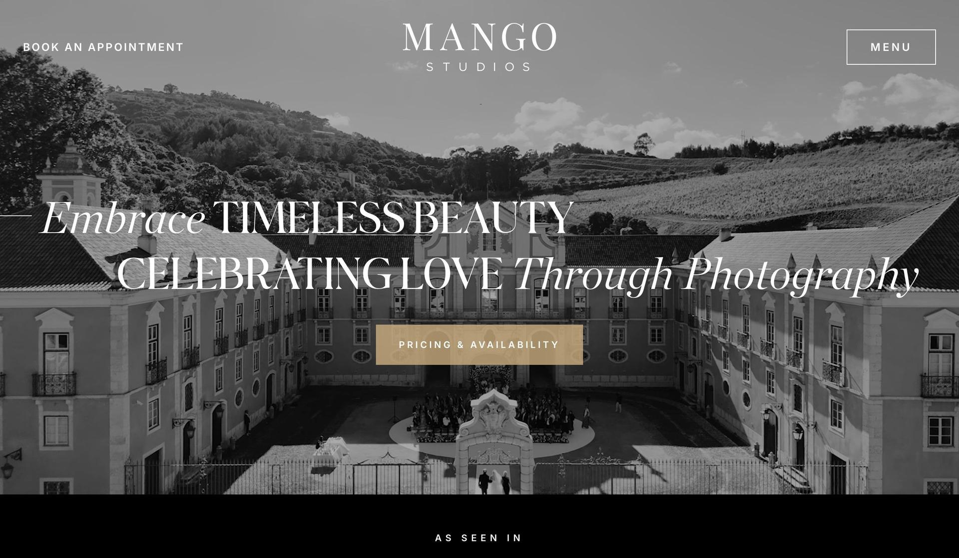 Mango Studios-wedding website examples