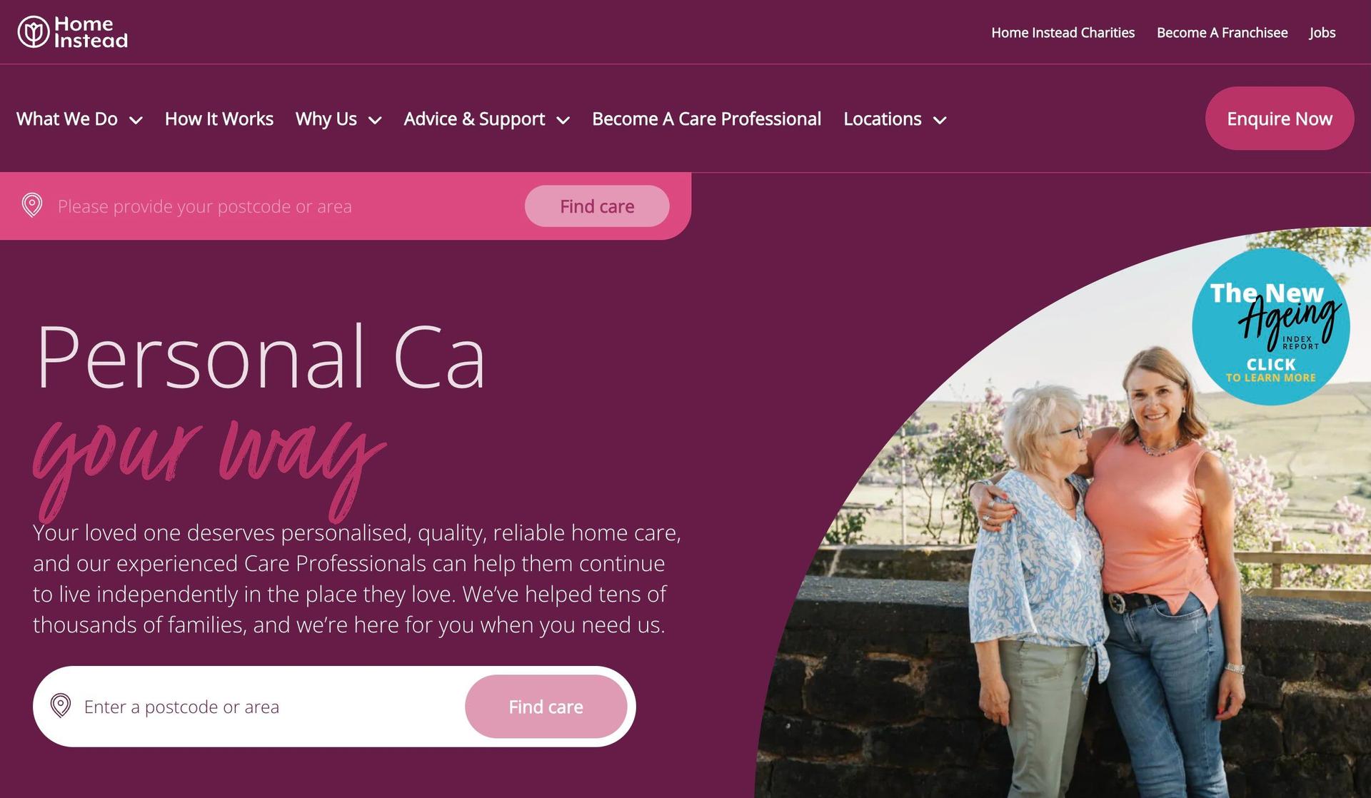 Home Instead-franchise website design examples