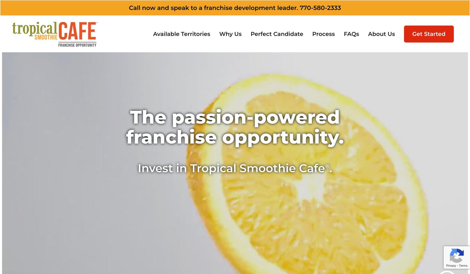 Tropical Smoothie Franchise-franchise website design examples