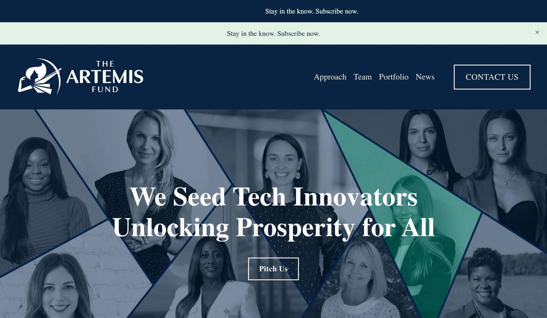 The Artemis Fund-financial services website designs