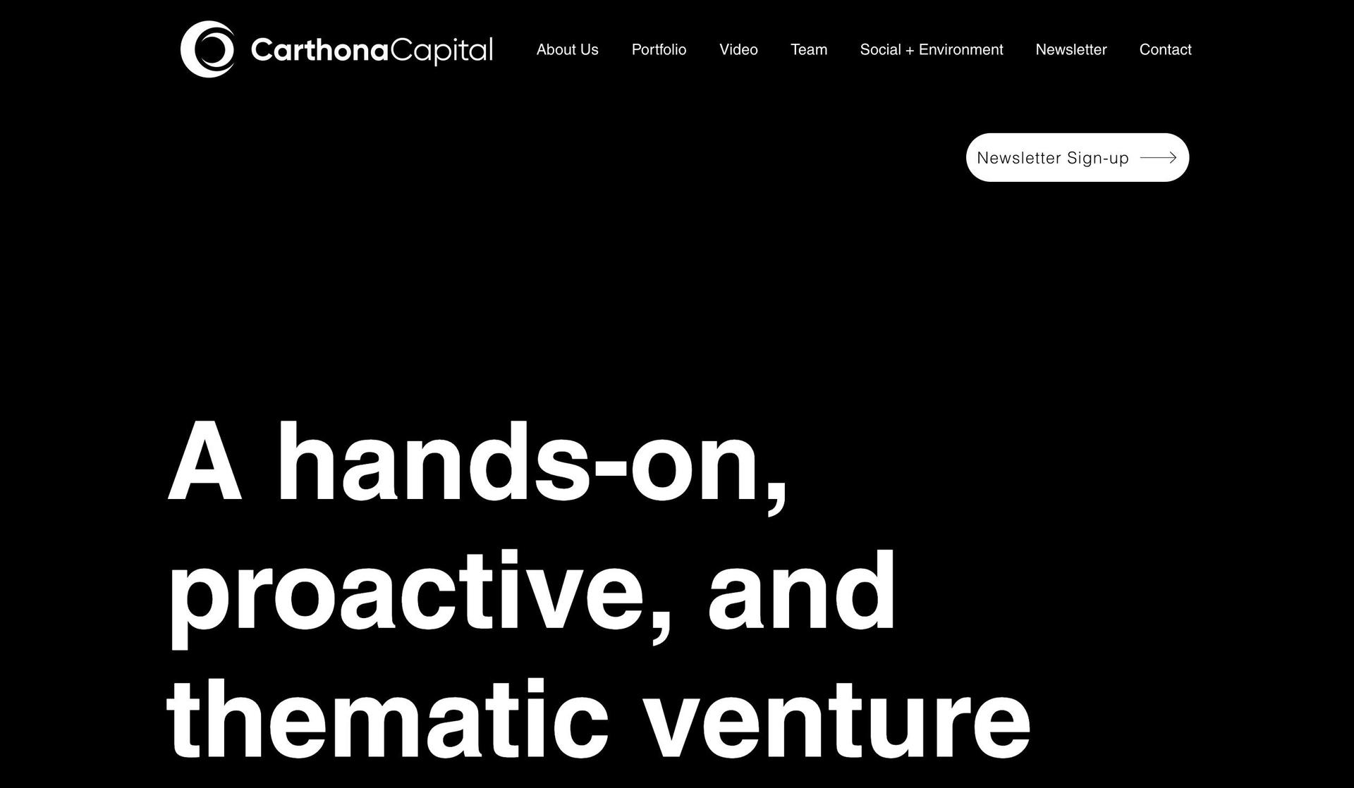 Carthona Capital-financial services website designs