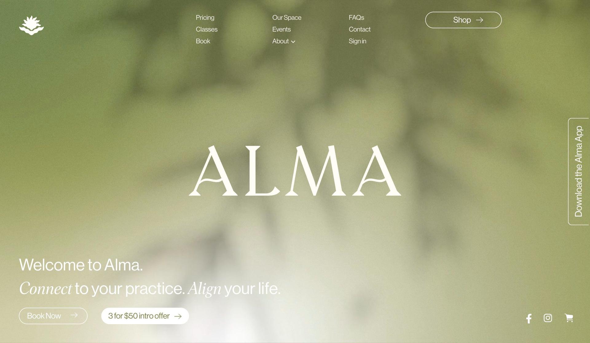 Alma Studio-yoga websites