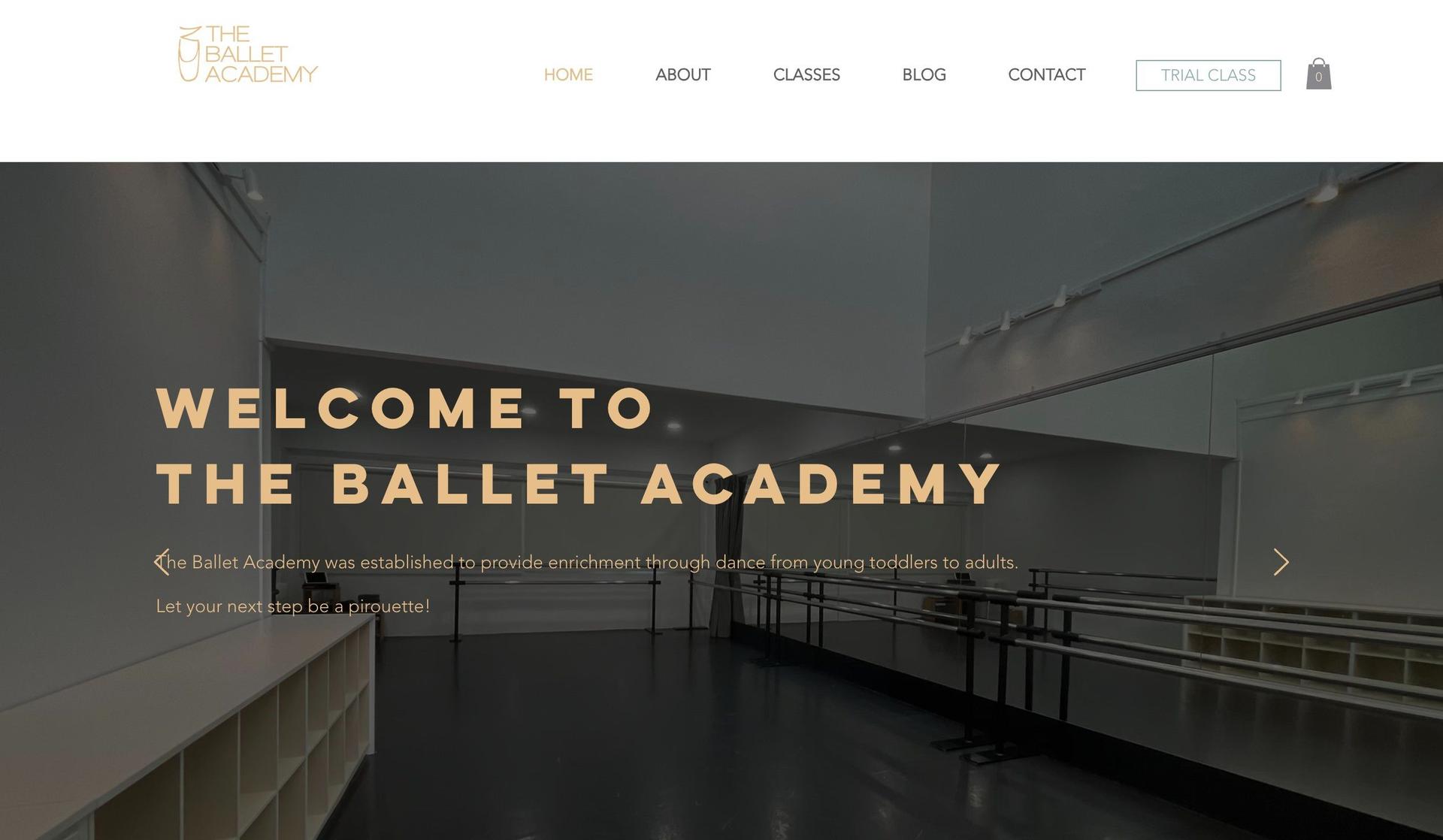 The Ballet Academy-dance studio website design