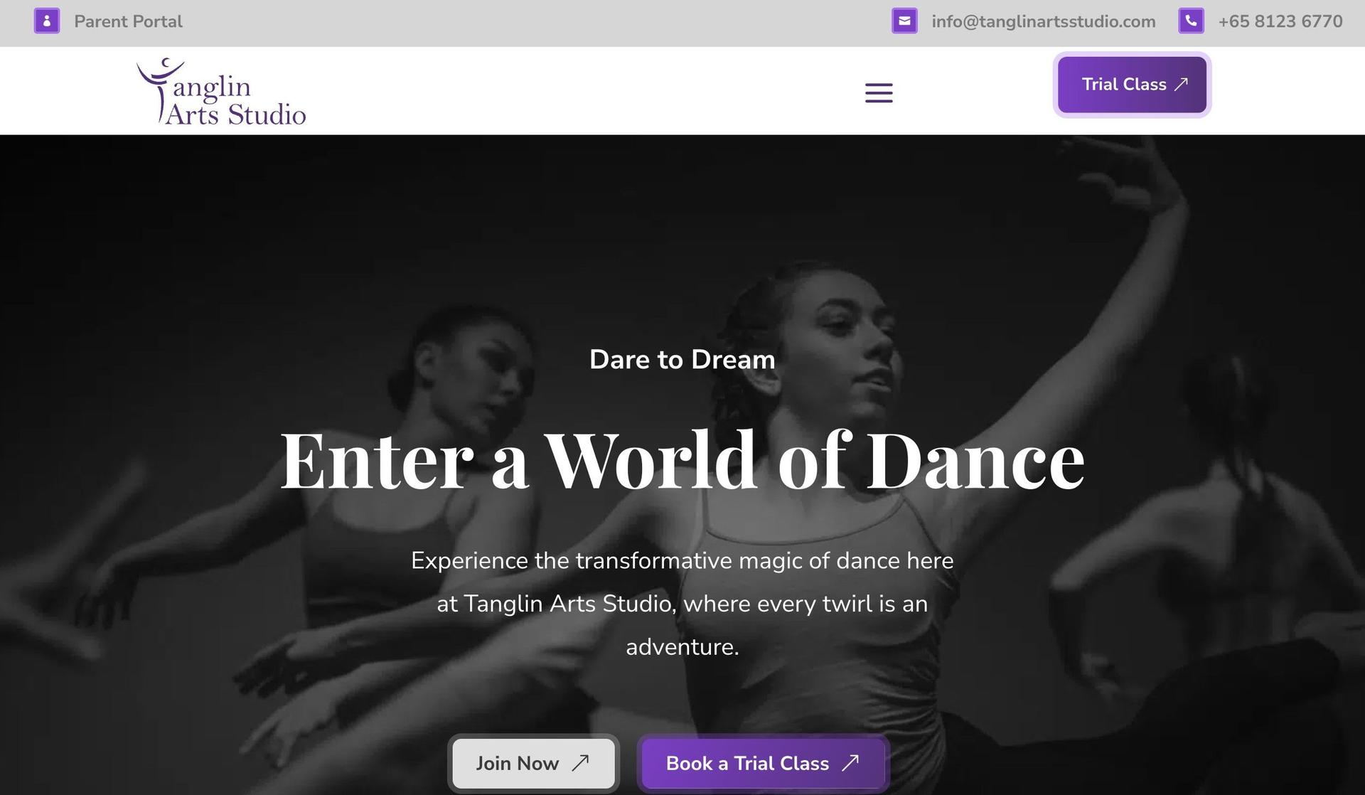 Tanglin Arts Studio-dance studio website design