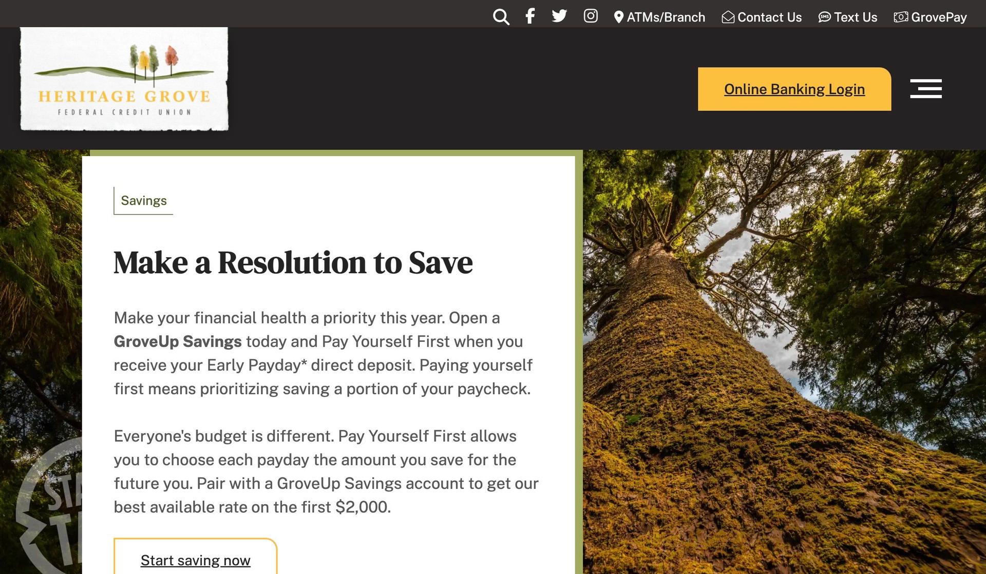 OurGrove CU-bank website design