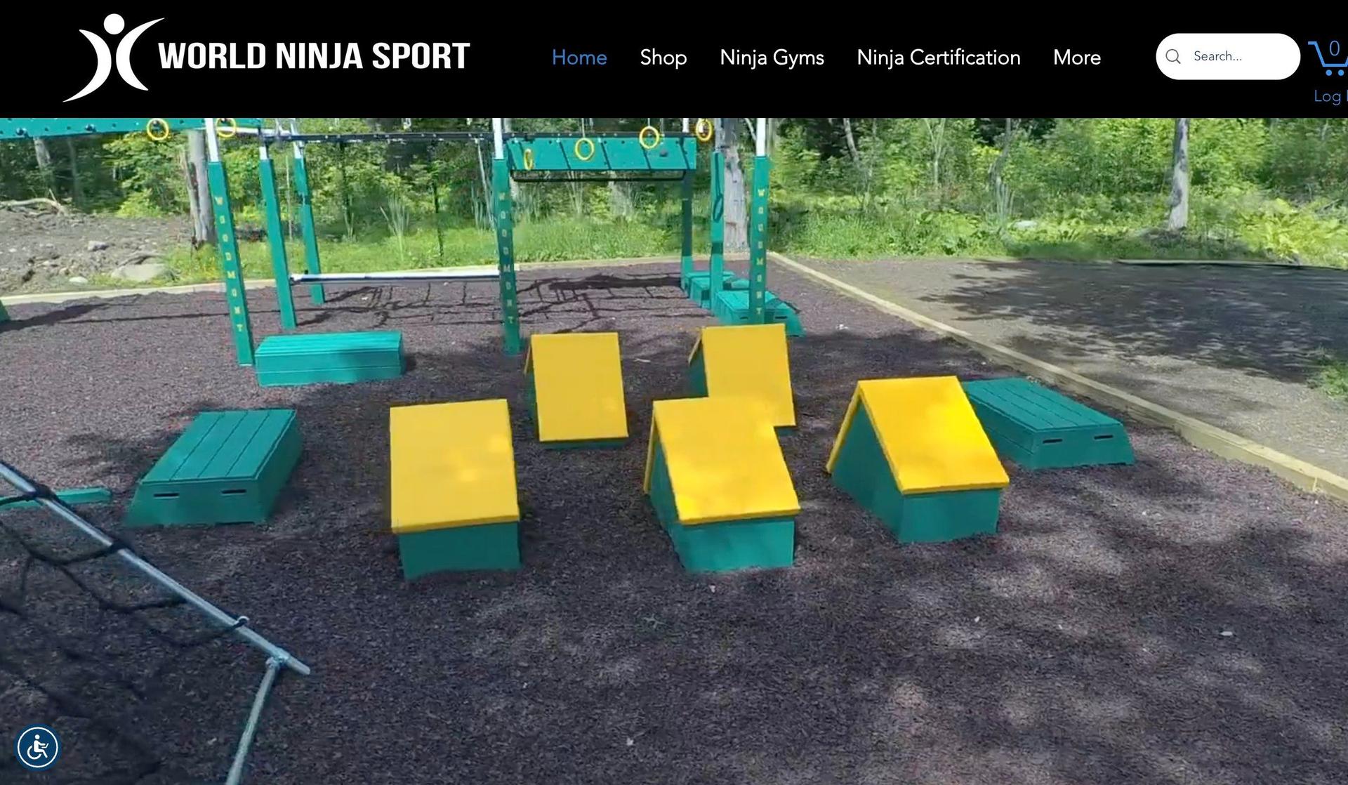 World Ninja Sport-sports website design