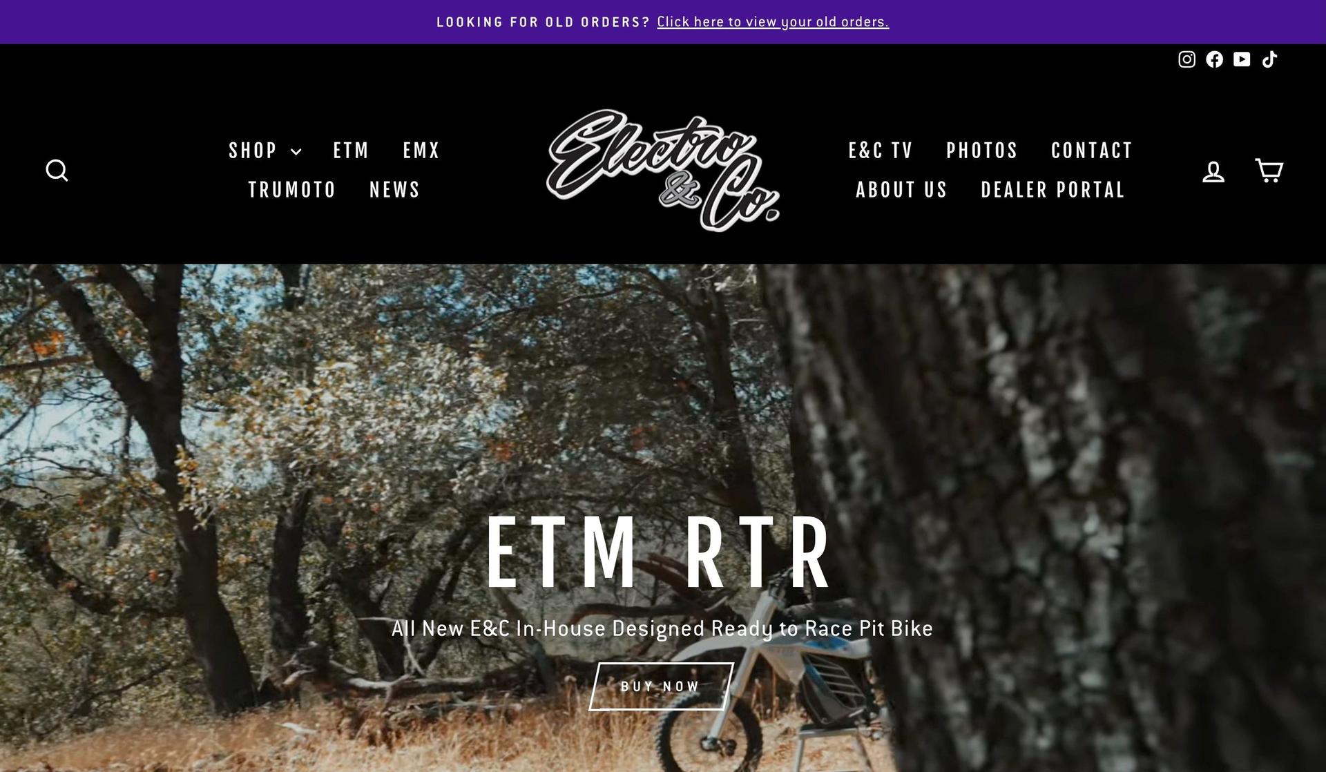 Electro and Company-electronics website examples