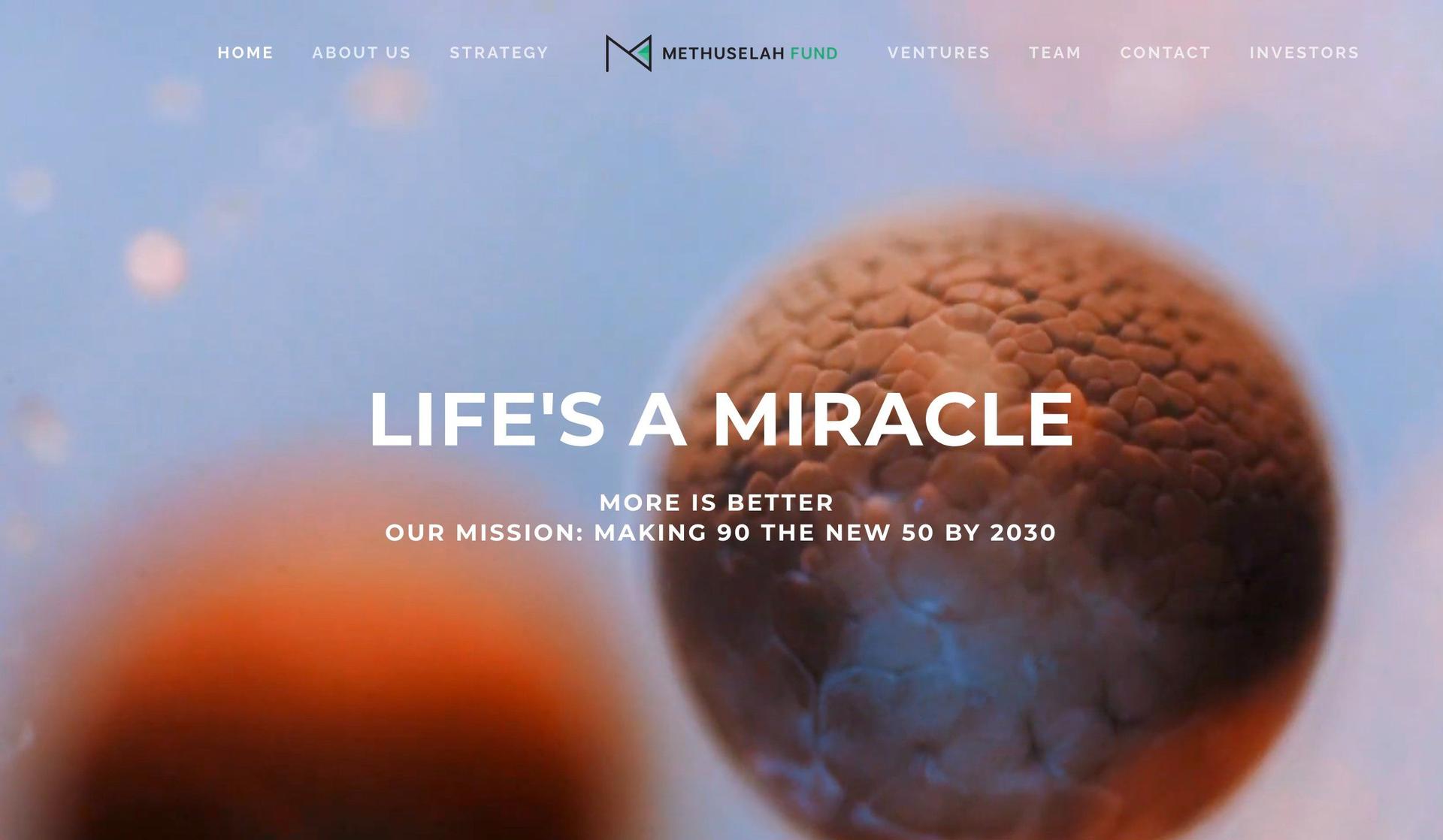 Methuselah Fund-hedge fund websites